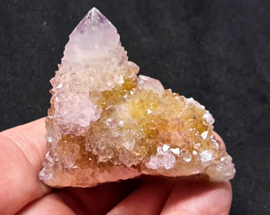 2″ CACTUS QUARTZ AMETHYST AMETRINE from Mpumalanga, South Africa