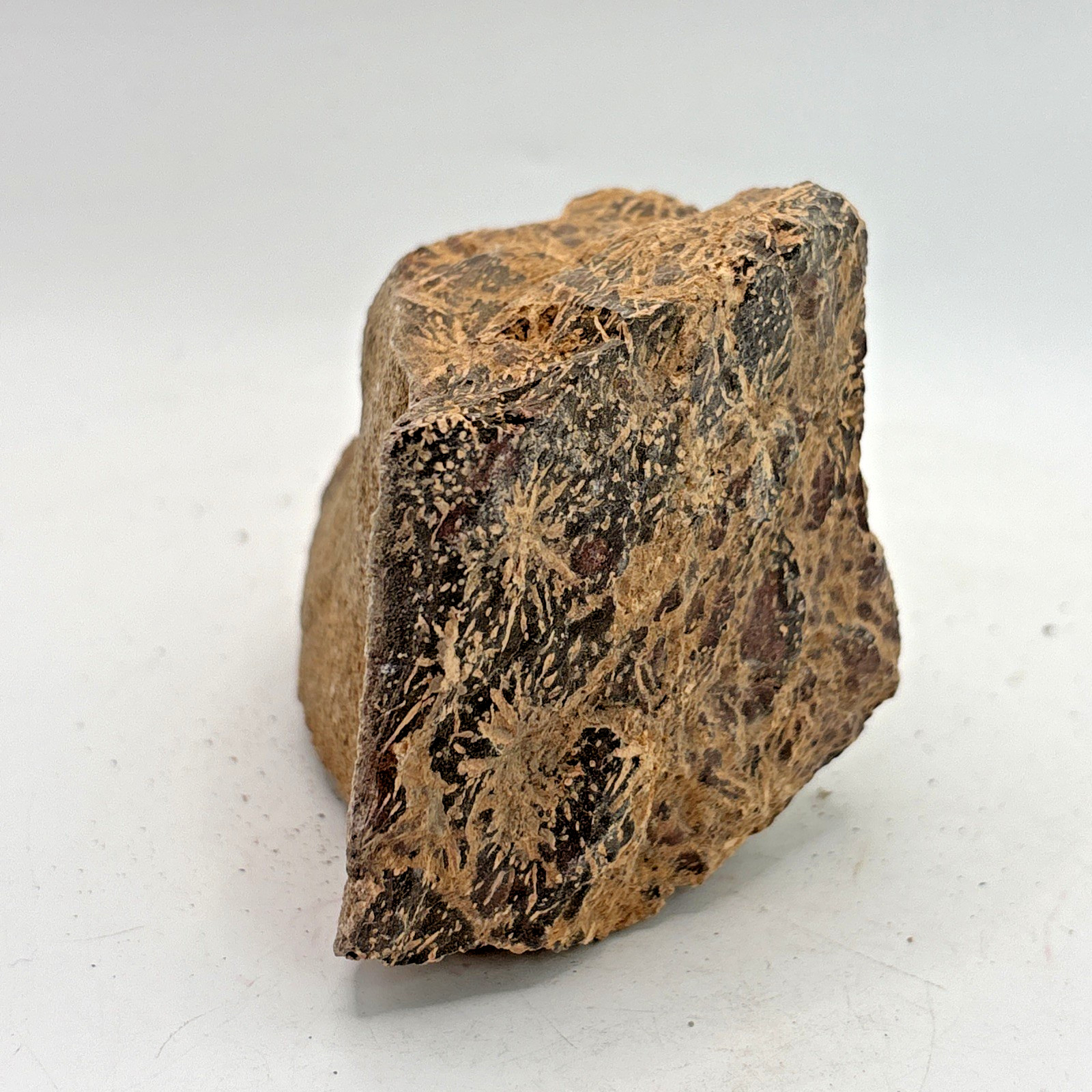 Beautiful Spider Jasper Chrysanthemum Specimen 352 Grams