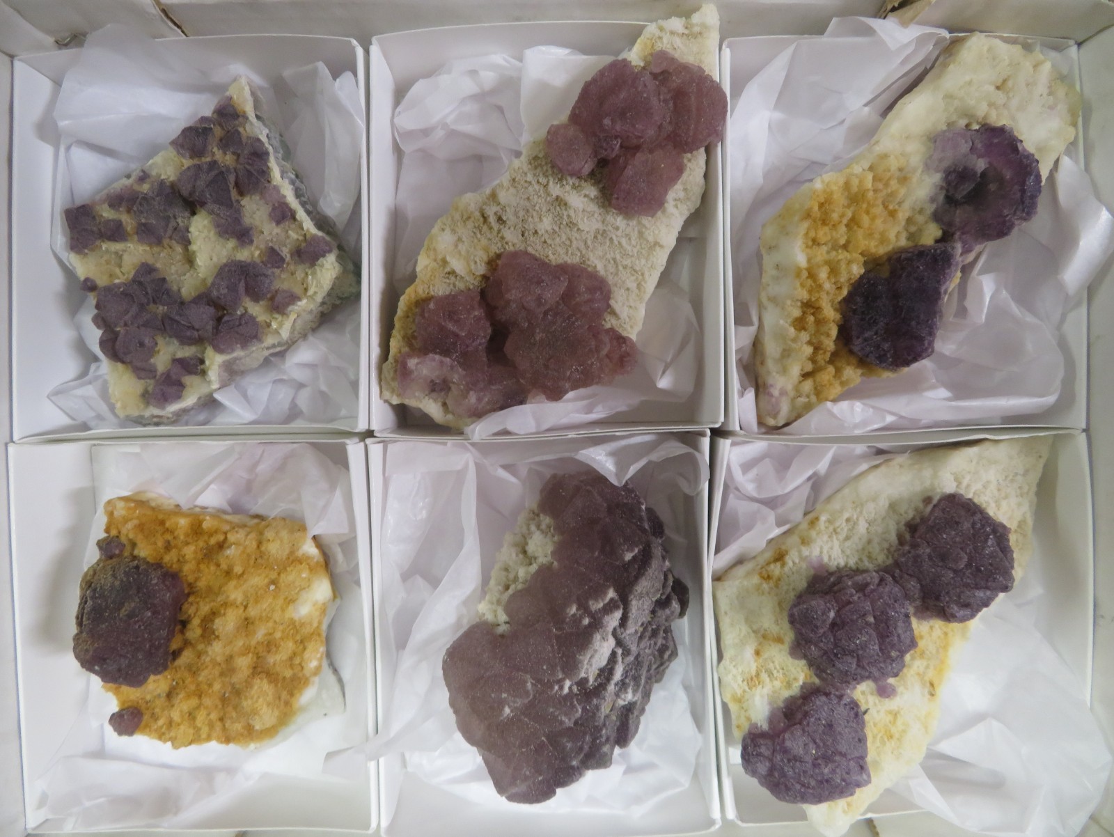 6 Piece Deep Purple Fluorite on Quartz Specimen Flat La Lupita Durango Mexico