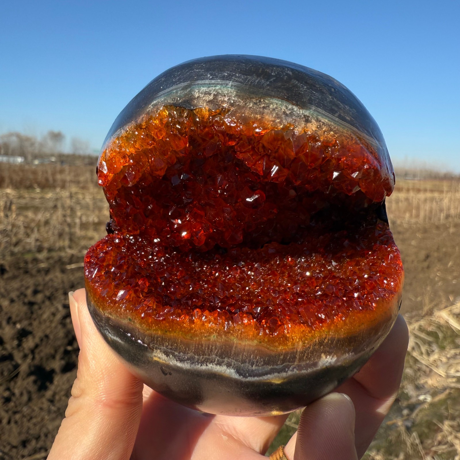 1.5LB Large size Citrine geode quartz cluster crystal specimen Healing random