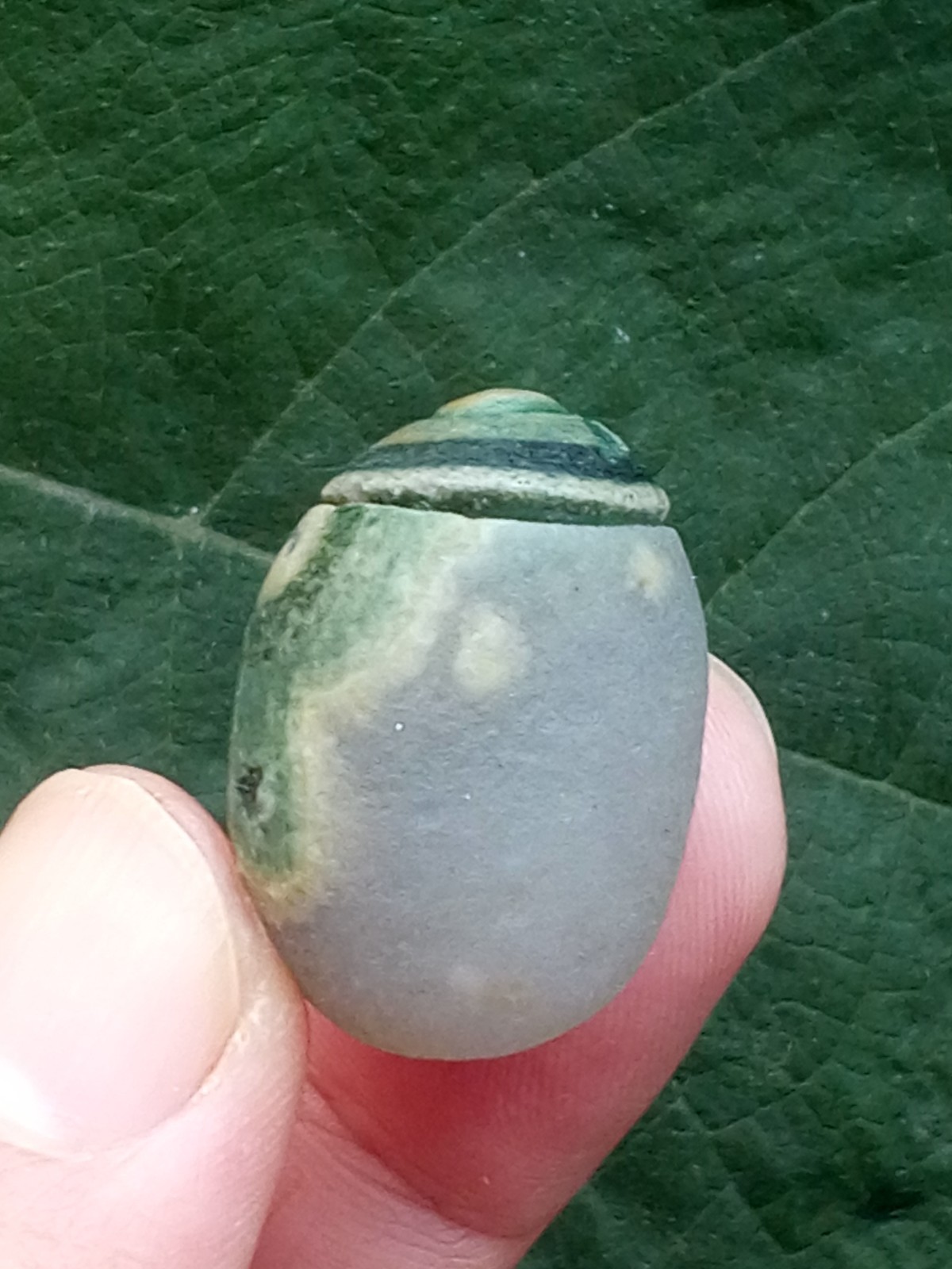 36mm Natural Gobi agate eye agate stone Suiseki-viewing collection china