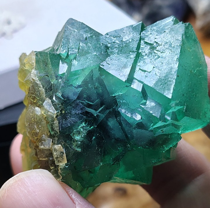 Neon Green Yellow Fluorite octahedrons TOP CLASS Riemvasmaak South Africa
