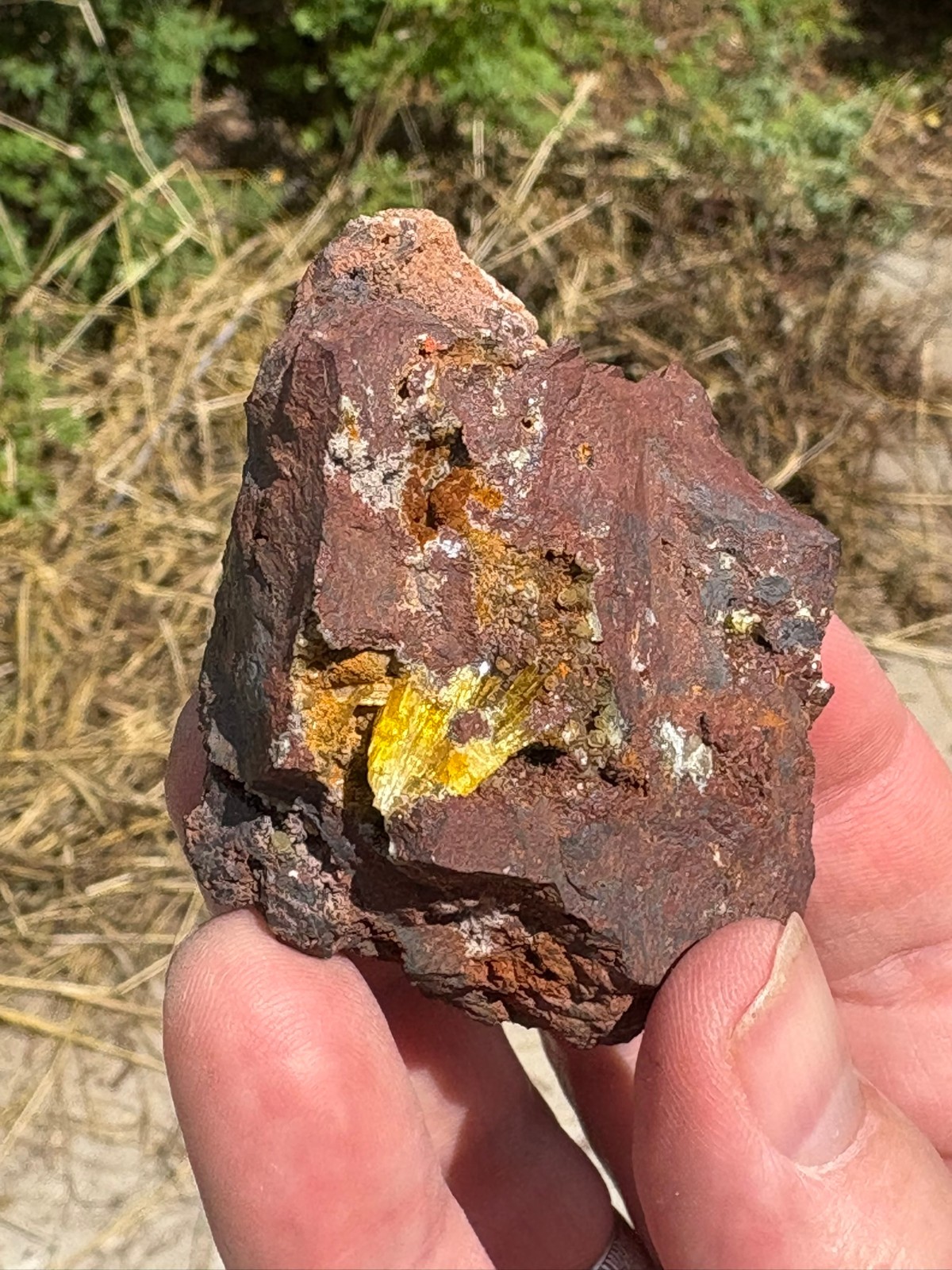 Legrandite crystal spray in matrix, Ojuela mine, Mapimi, Durango, Mexico