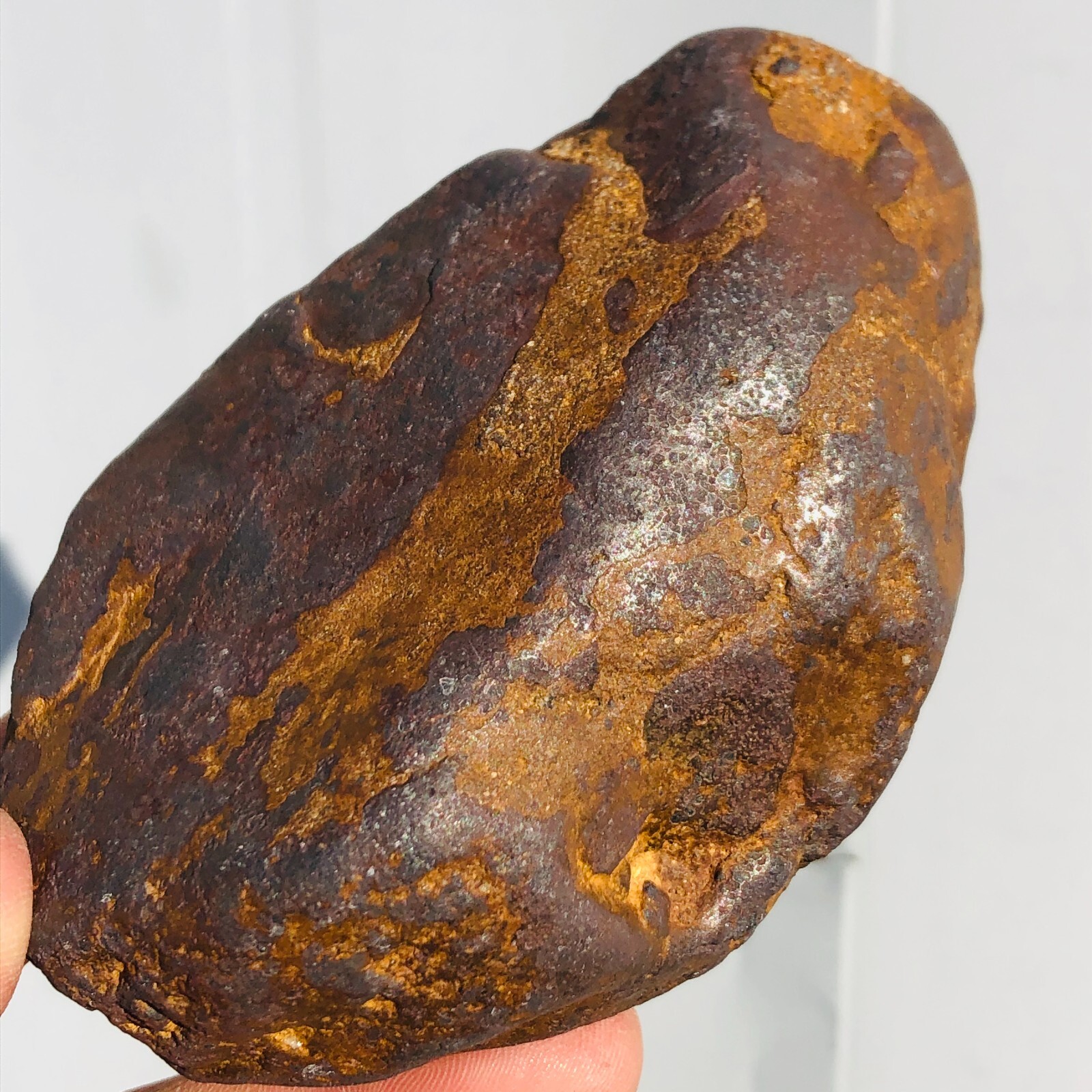1.62lb STONY IRON H CHONDRITE METEORITE Polished Carved Space Rock Specimen