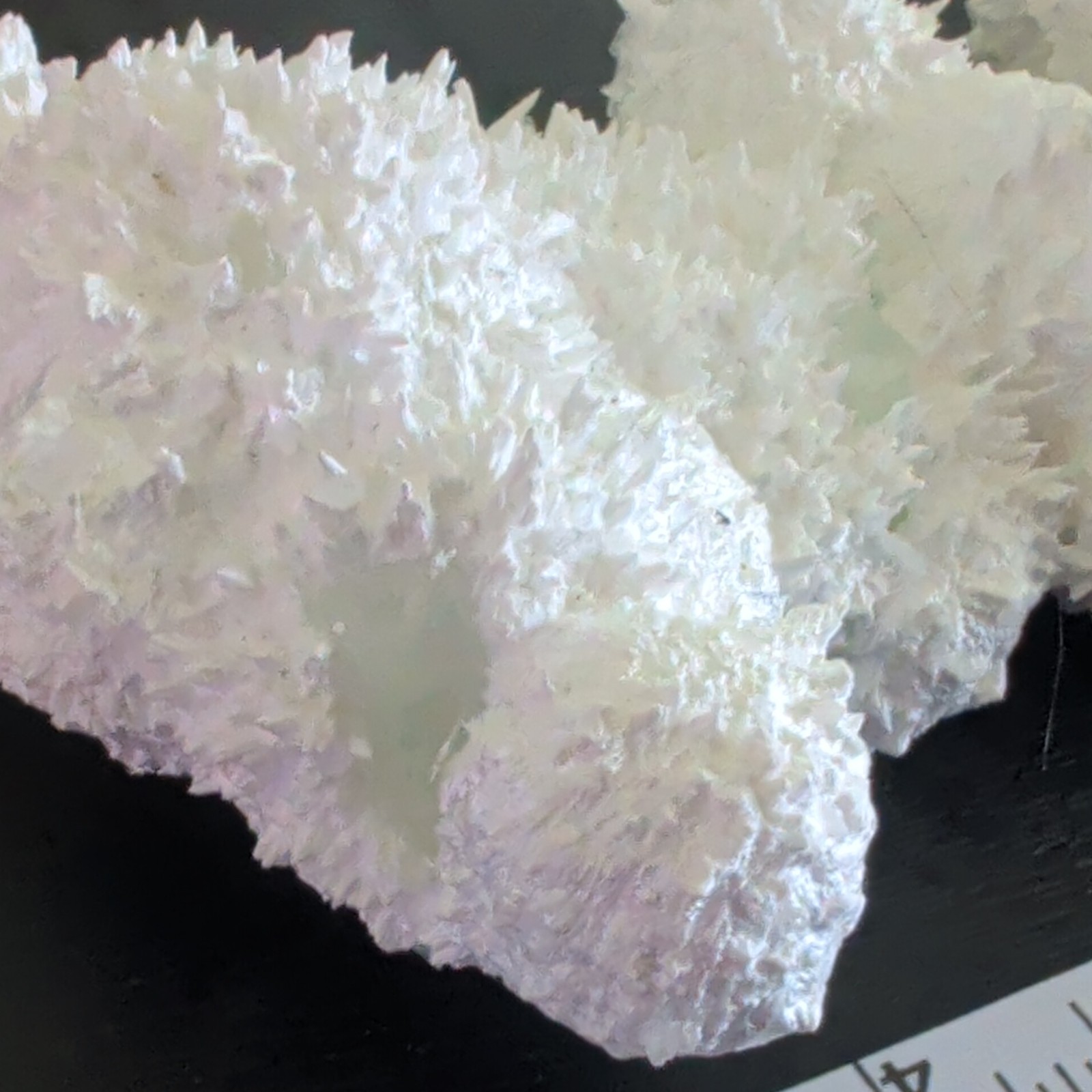 Aragonite Crystal Cluster Mineral Display 6 in Cave Calcite/Sugar Apophyllite