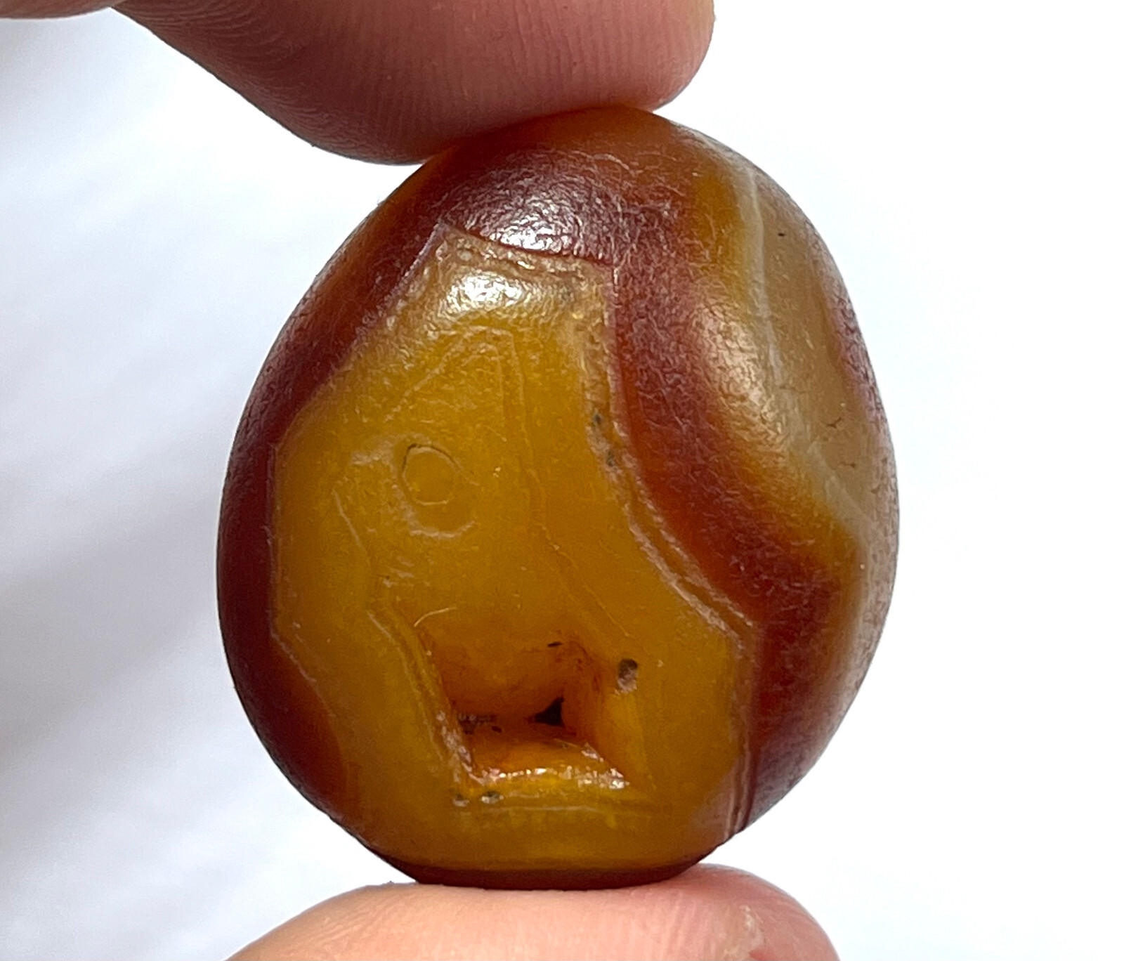 25g Bonsai Suiseki-Natural Gobi Agate Eyes Stone-Rare Stunning Viewing 5-20