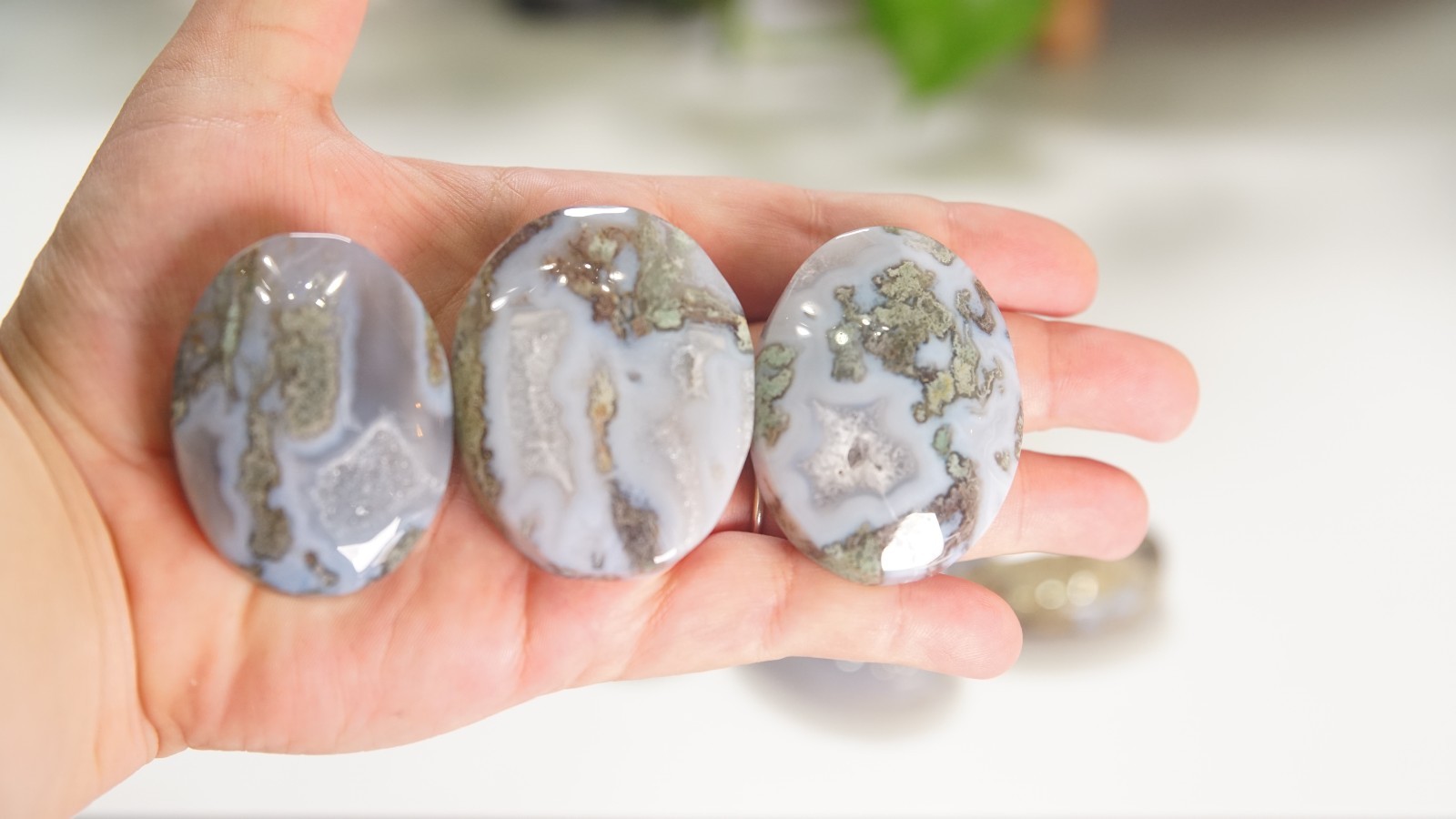 Wholesale Lot 6 PCS Natural Moss Agate Palm Stones | US Seller