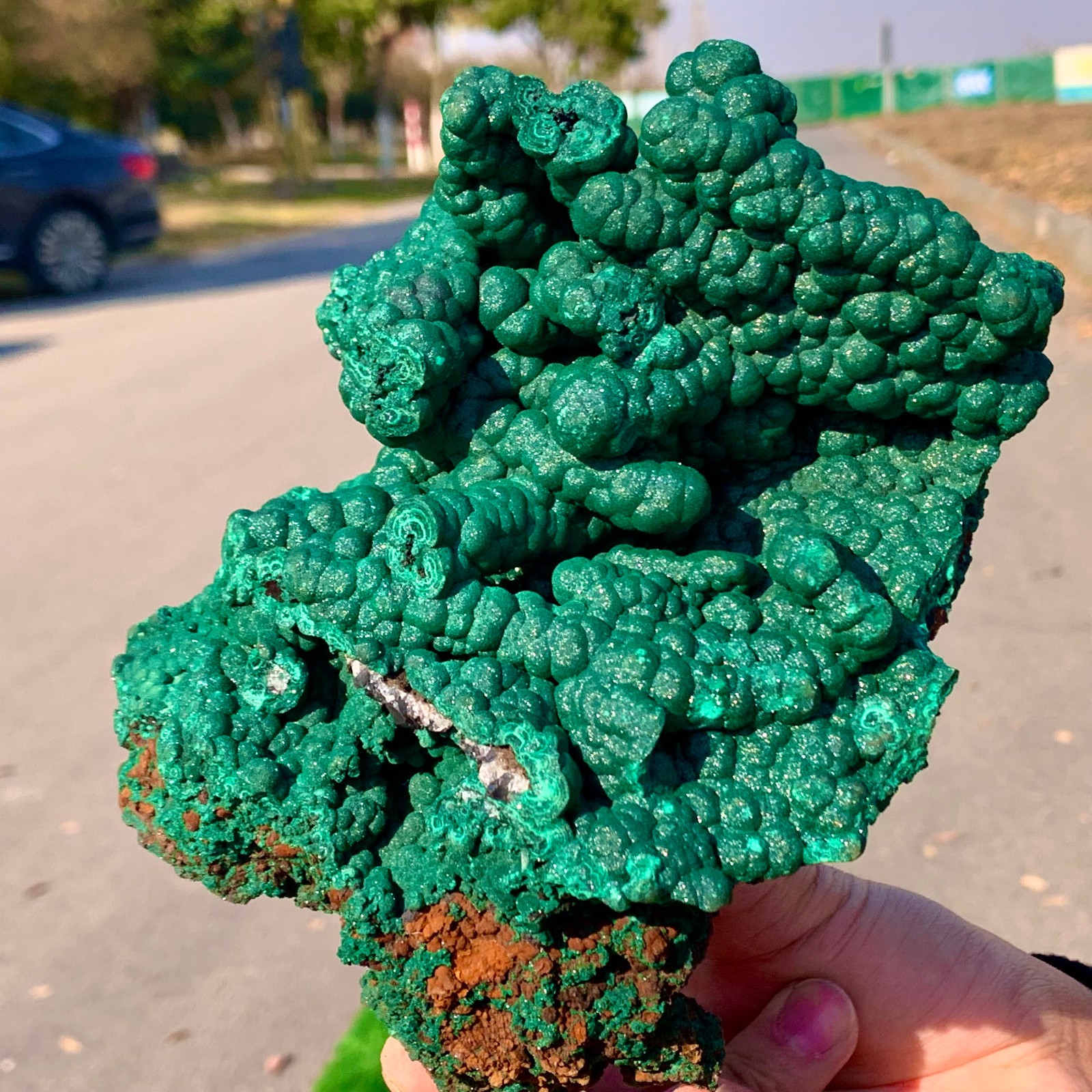 2.2LB Natural VELVET Azurite/Malachite cat’s eye specimen crystal mineral-Congo