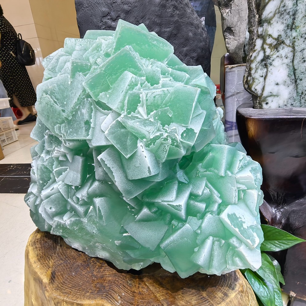110LB Top Natural Green Fluorite Quartz Cluster Crystal Mineral Specimen + stand