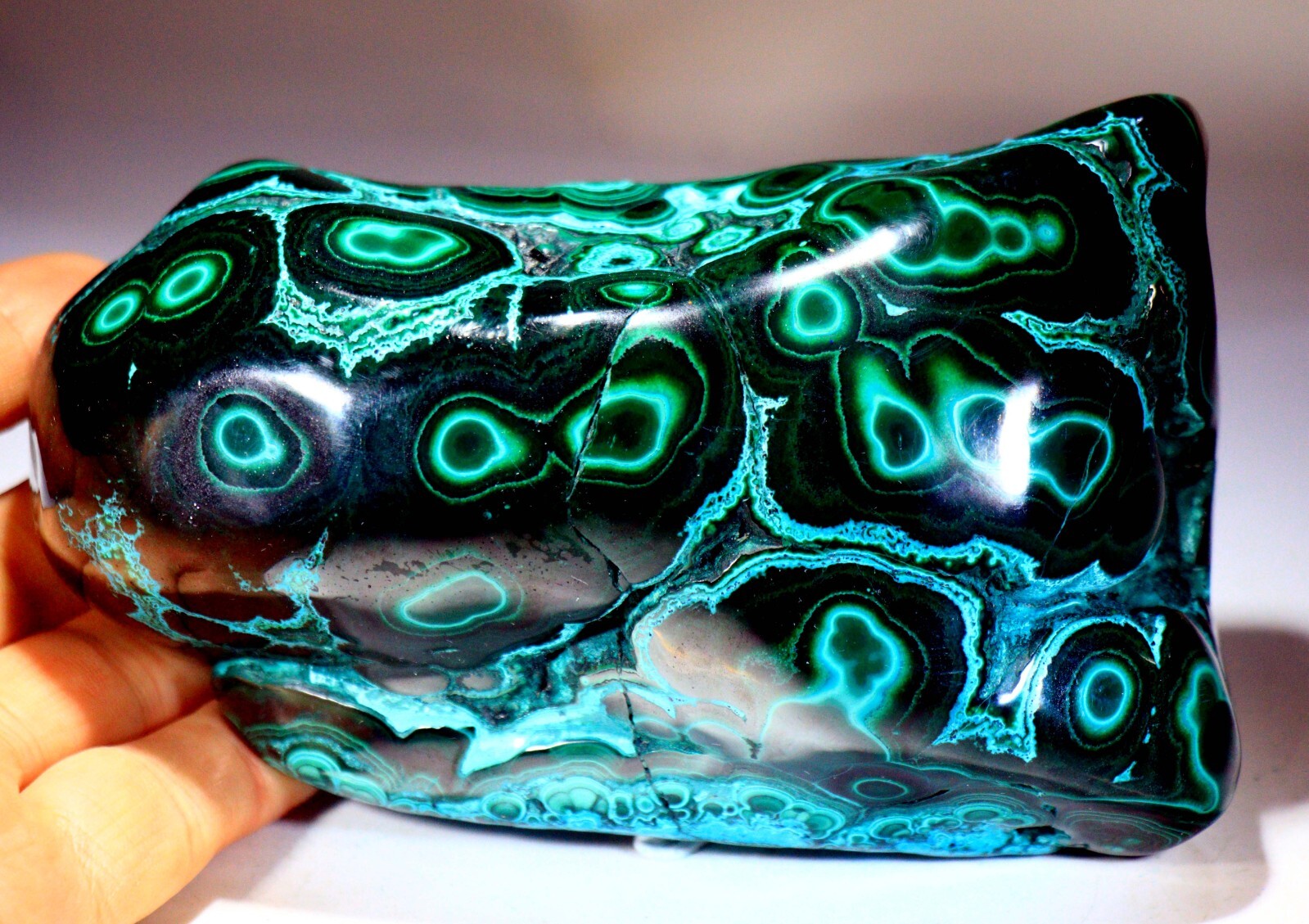 5.75 in 2 lb 12.6 oz Vivid Chrysocolla Malachite w/Superb Pattern, Congo! CR178