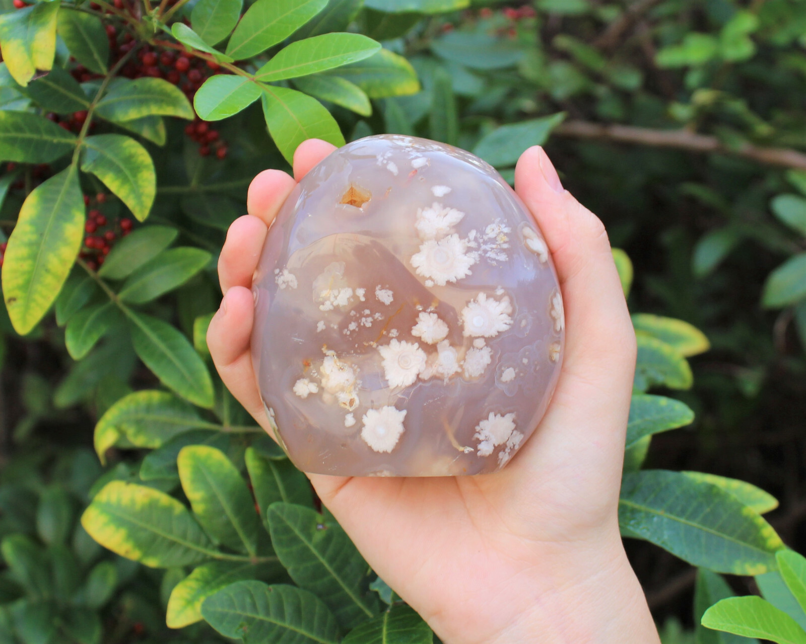 Flower Agate Freeform – Stunning Polished Free Standing Crystal Display Specimen