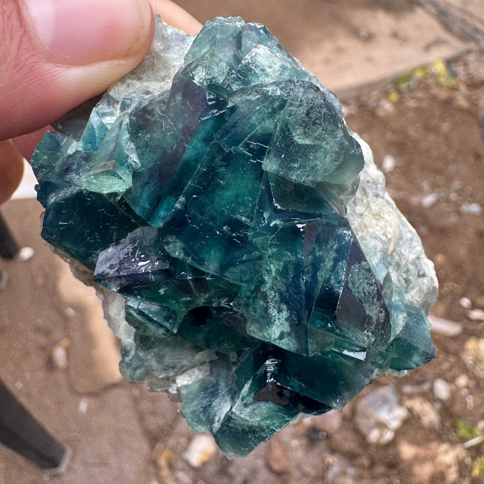 140G Natural cubic green fluorite crystal cluster rough mineral specimen Healing