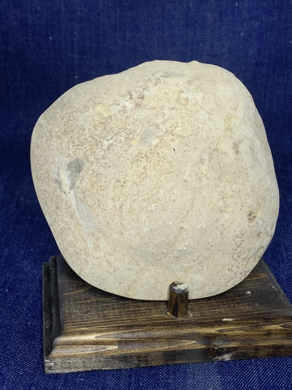 Septarian Nodule Hollow Half ( Utah)with Stand And Description Card