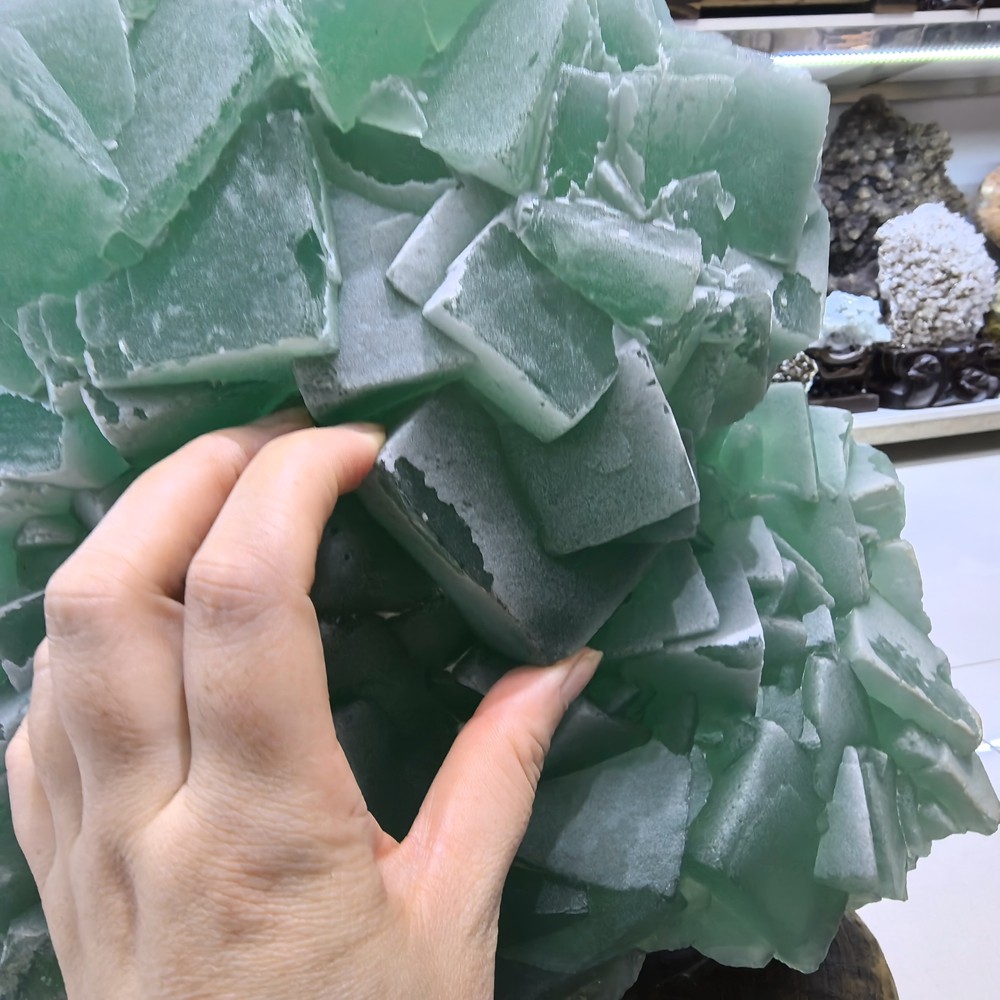110LB Top Natural Green Fluorite Quartz Cluster Crystal Mineral Specimen + stand