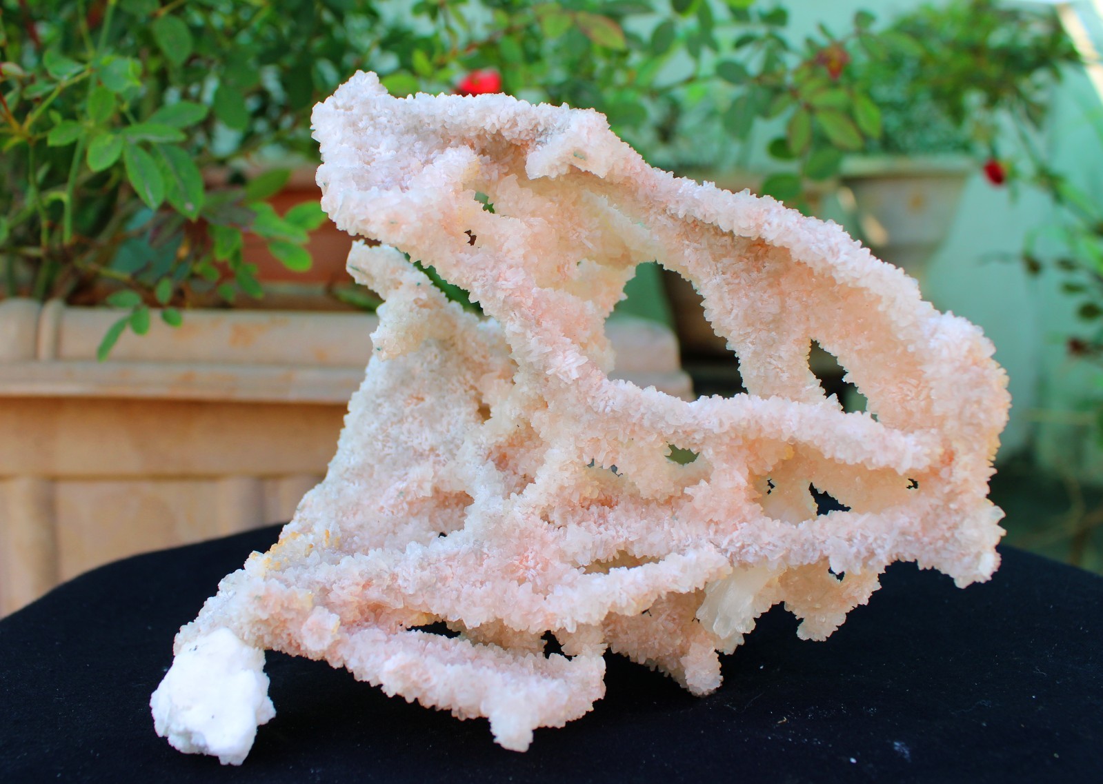 Apophyllite Crystals With Chalcedony Coral Minerals Specimen #A9