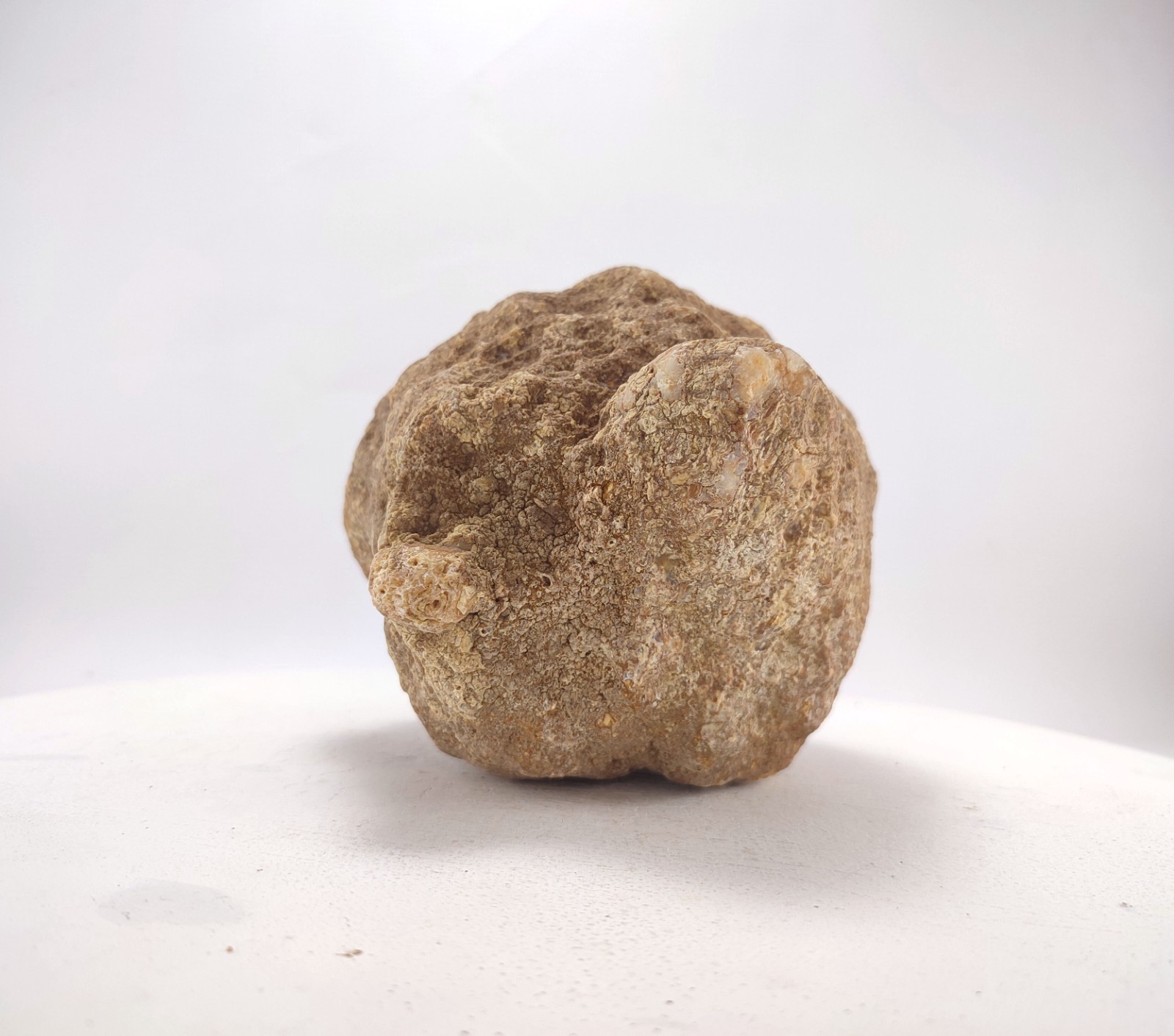 6″ Unopened Geode Break Your Own Hollow Rattler 4.7 LB Kentucky Quartz Crystal