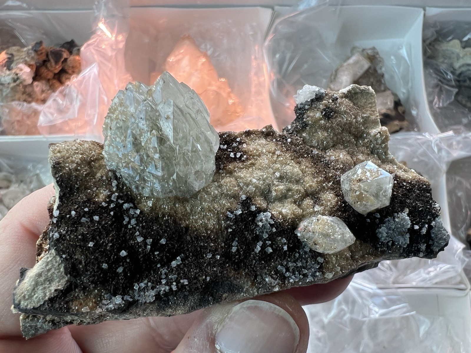 12 Quartz & Siderite Specimens – Potosí Mine, Santa Eulalia, Chihuahua, Mexico