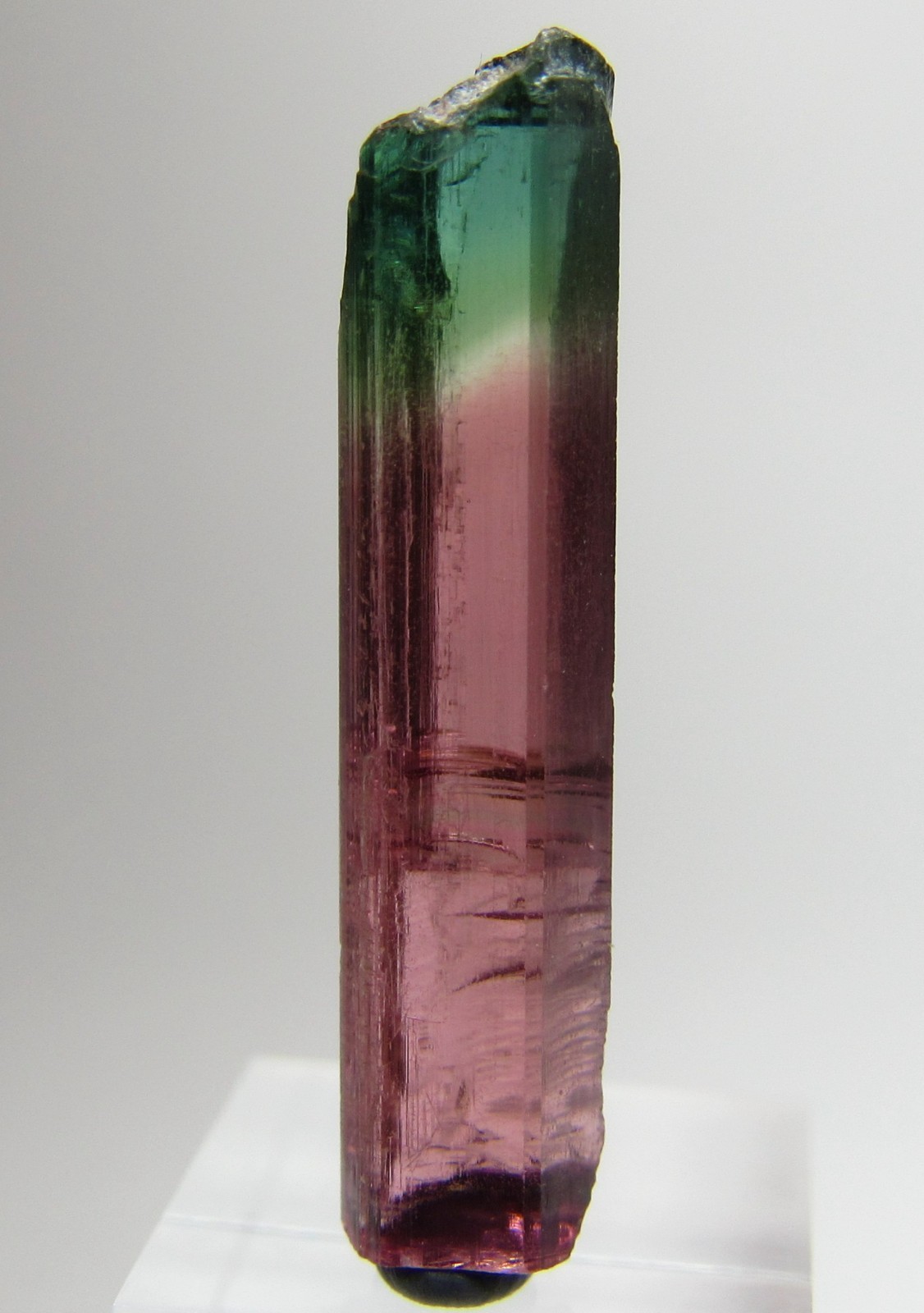 PHENOMENAL RARE FACET GRADE GEM TOURMALINE CRYSTAL!!! MORRO REDONDO BRAZIL