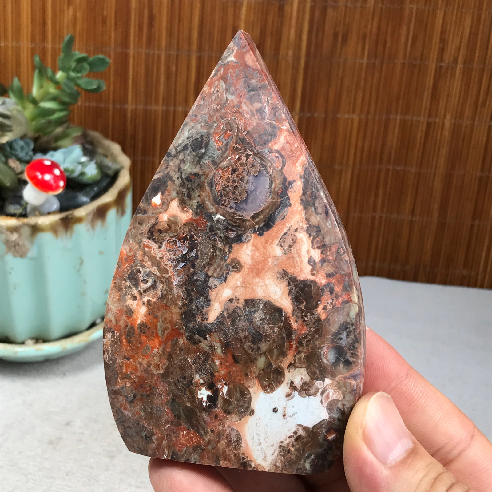 Natural money Mexico agate hand carve leaf Crystal Specimen free standing A6273