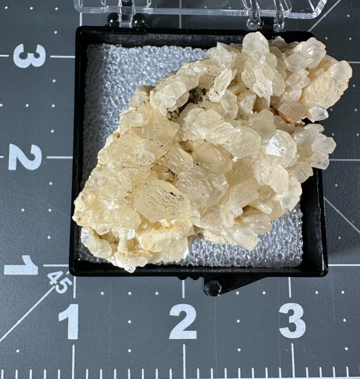 ➤ 2-1/2″ PHOSFLUORESCENT CREAM CALCITE on DOLOMITE Corydon Indiana VIDEO➤465