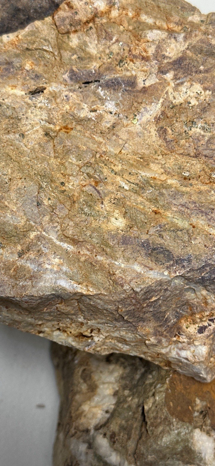 Plumas County Northern Sierra Gold Ore, Priced Right & Visible Gold + Minerals
