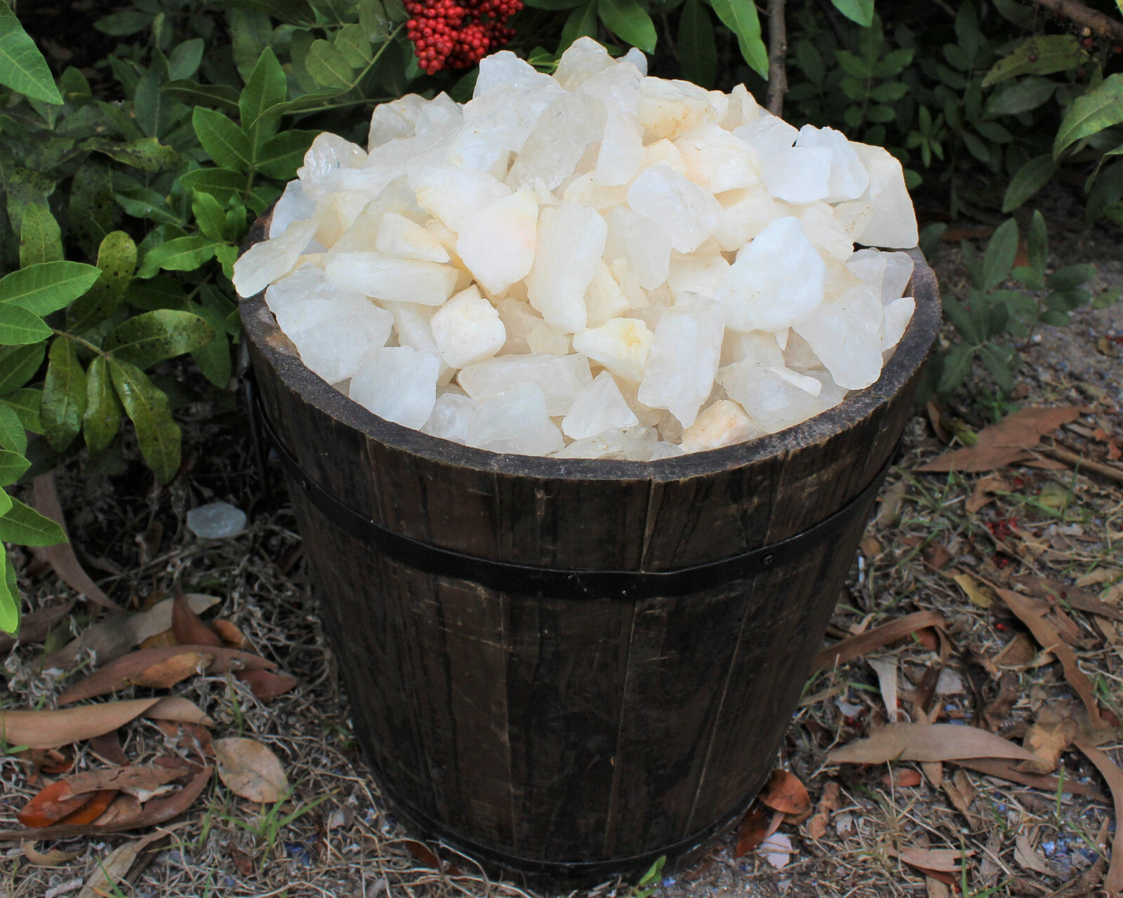 1/2 lb Bulk Lot Natural Rough Clear Quartz Crystals (Raw Gemstone Healing 8 oz)