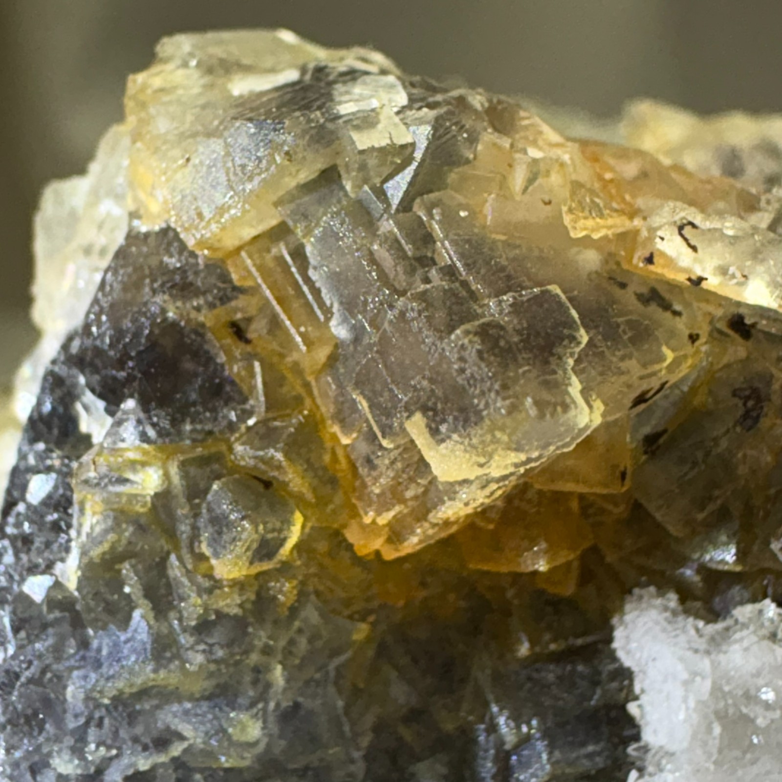 Rare Dual Color Fluorescent Natural Fluorite w/ Gypsum Raw Mineral Specimen