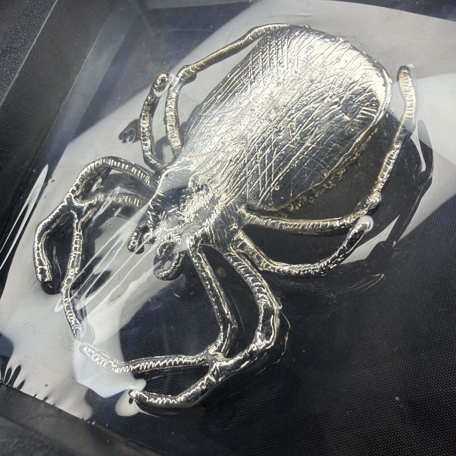 Natural Pyrite Spider Shadow Box Display – Fool’s Gold Mineral Decor