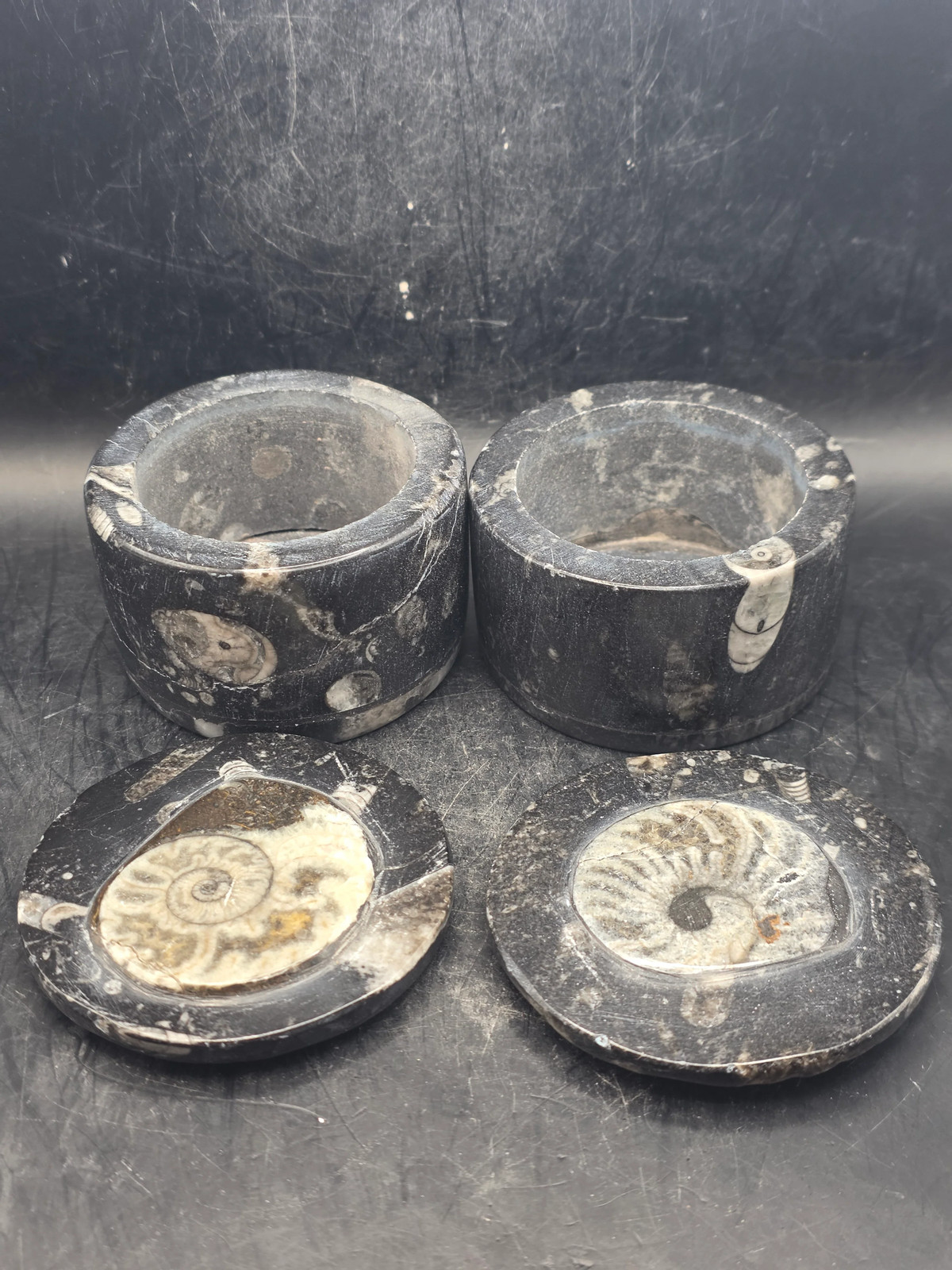 Medium round fossil box! 2.5 inches, 8.3 ounces!