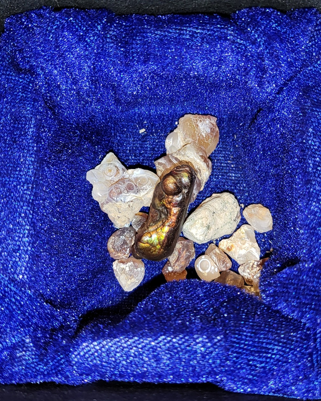 DINOSTONES