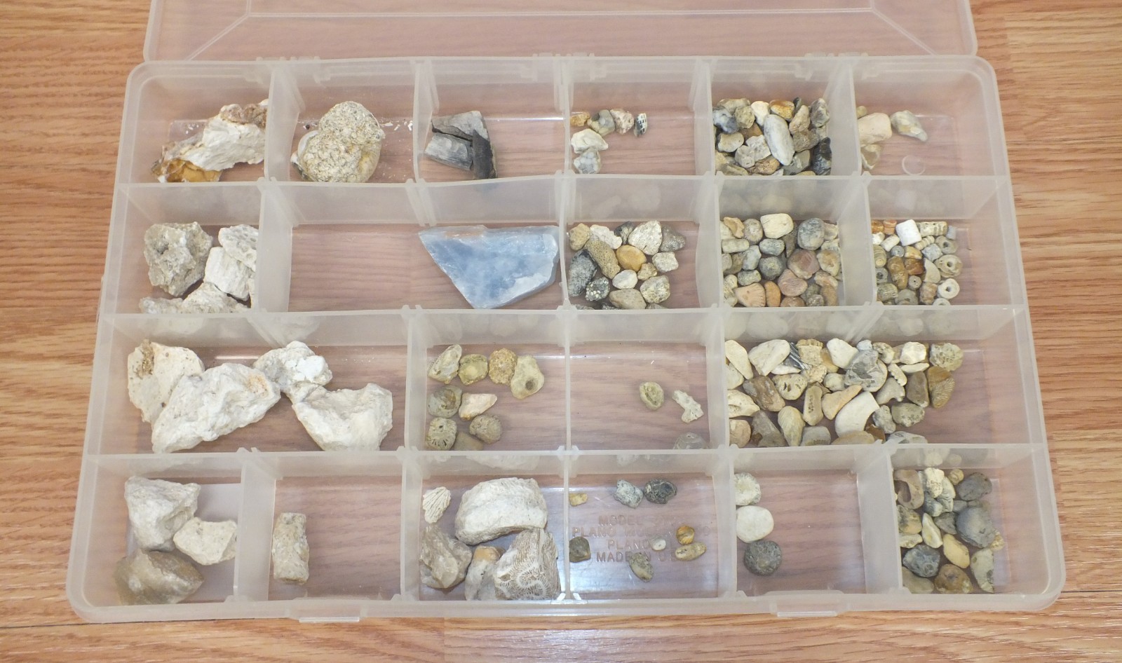 Unbranded Mixed Lot of Multi Size / Color / Texture Rock & Fossil Collection
