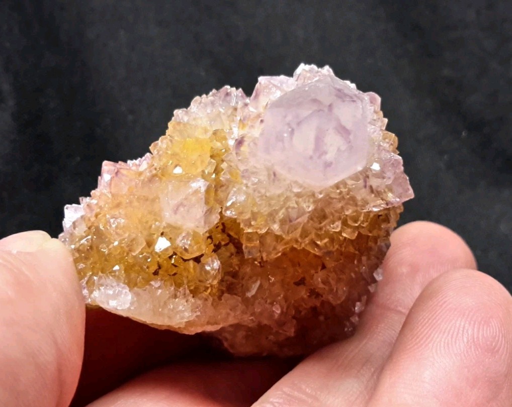 2″ CACTUS QUARTZ AMETHYST AMETRINE from Mpumalanga, South Africa