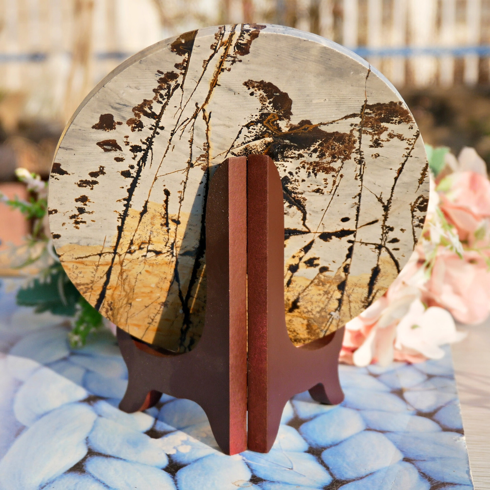 Picture Jasper Round Slice 5in Polished Landscape Stone Disc Display Shelf Decor
