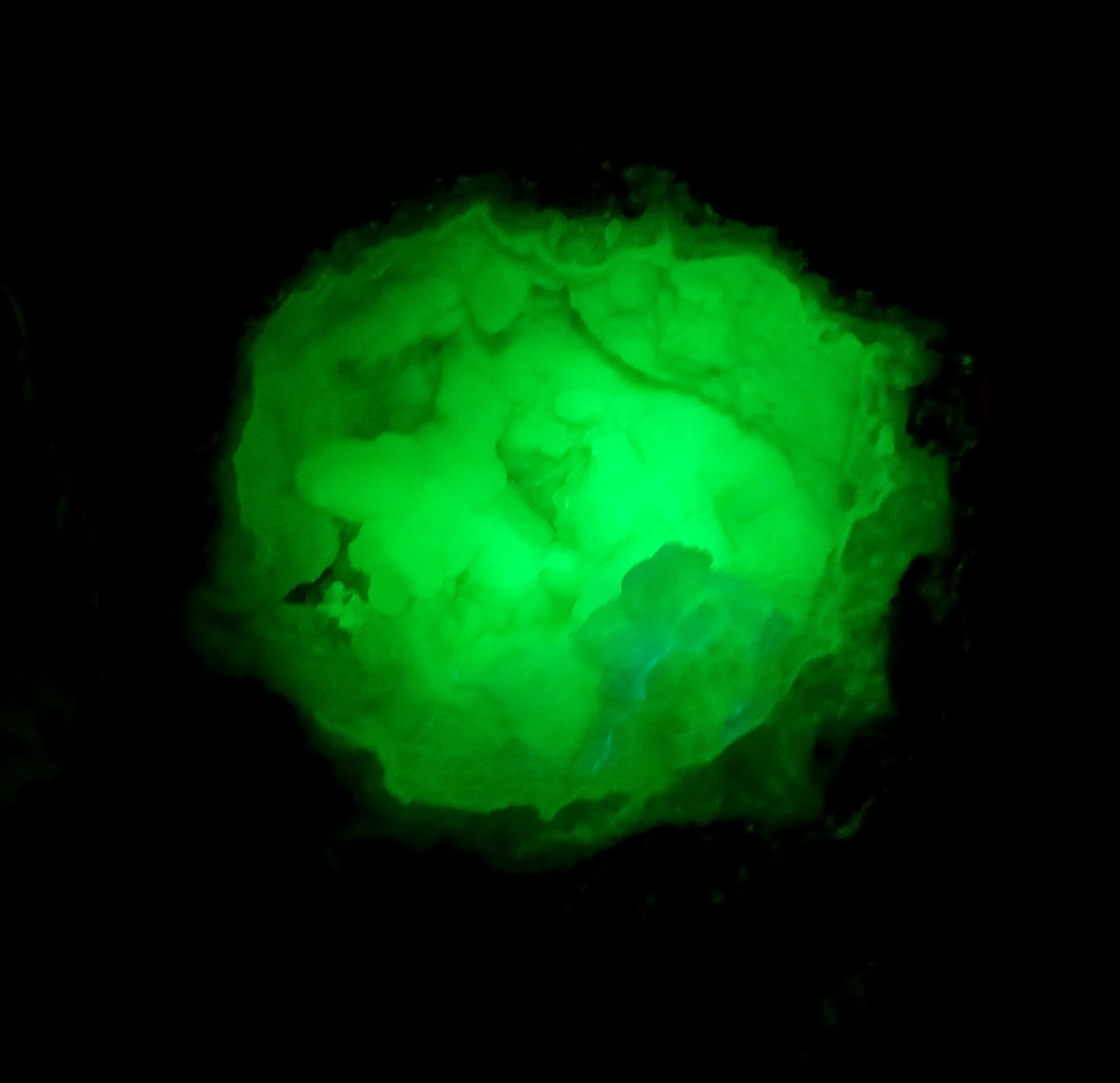 Whole Guaranteed Hollow Mexican Trancas Chihuahua Quartz Geodes, Fluorescent!