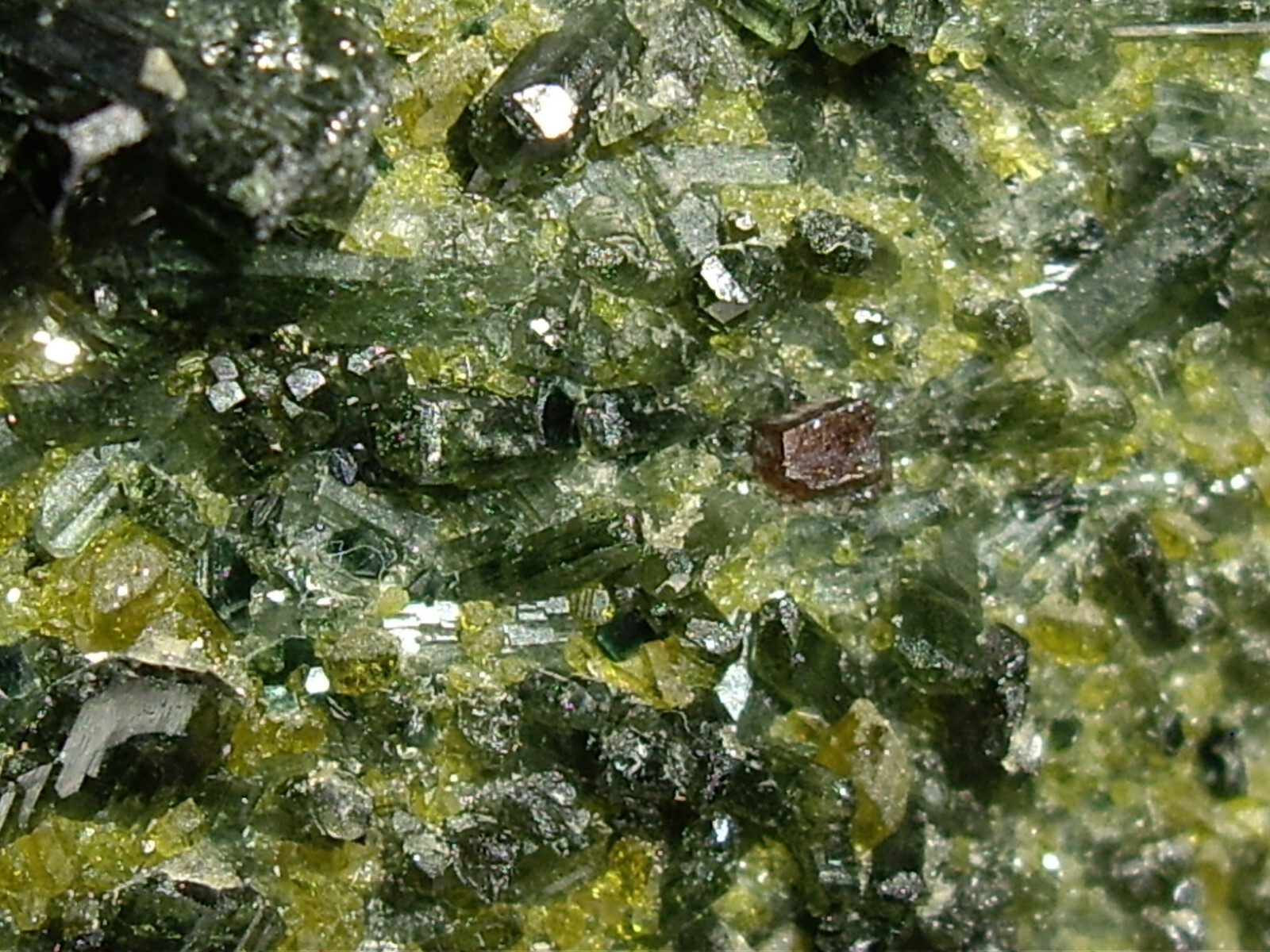 Awesome Magnetite, Vesuvianite, Garnet, and Diopside Crystals on Matrix 23.3g