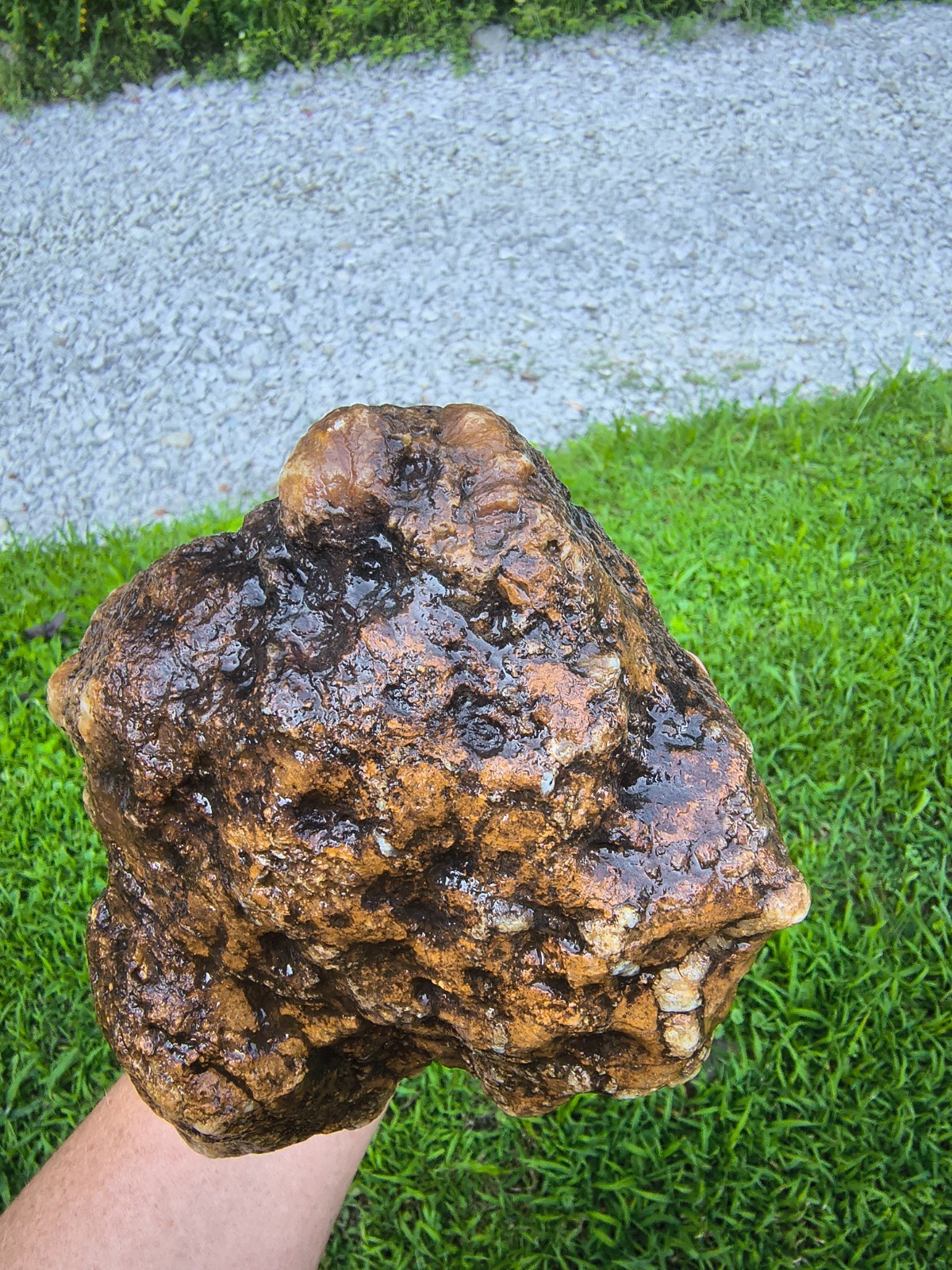 7.06 lb Kentucky Geode Unopened Large Natural Crystal Geode 8″ Feels Hollow