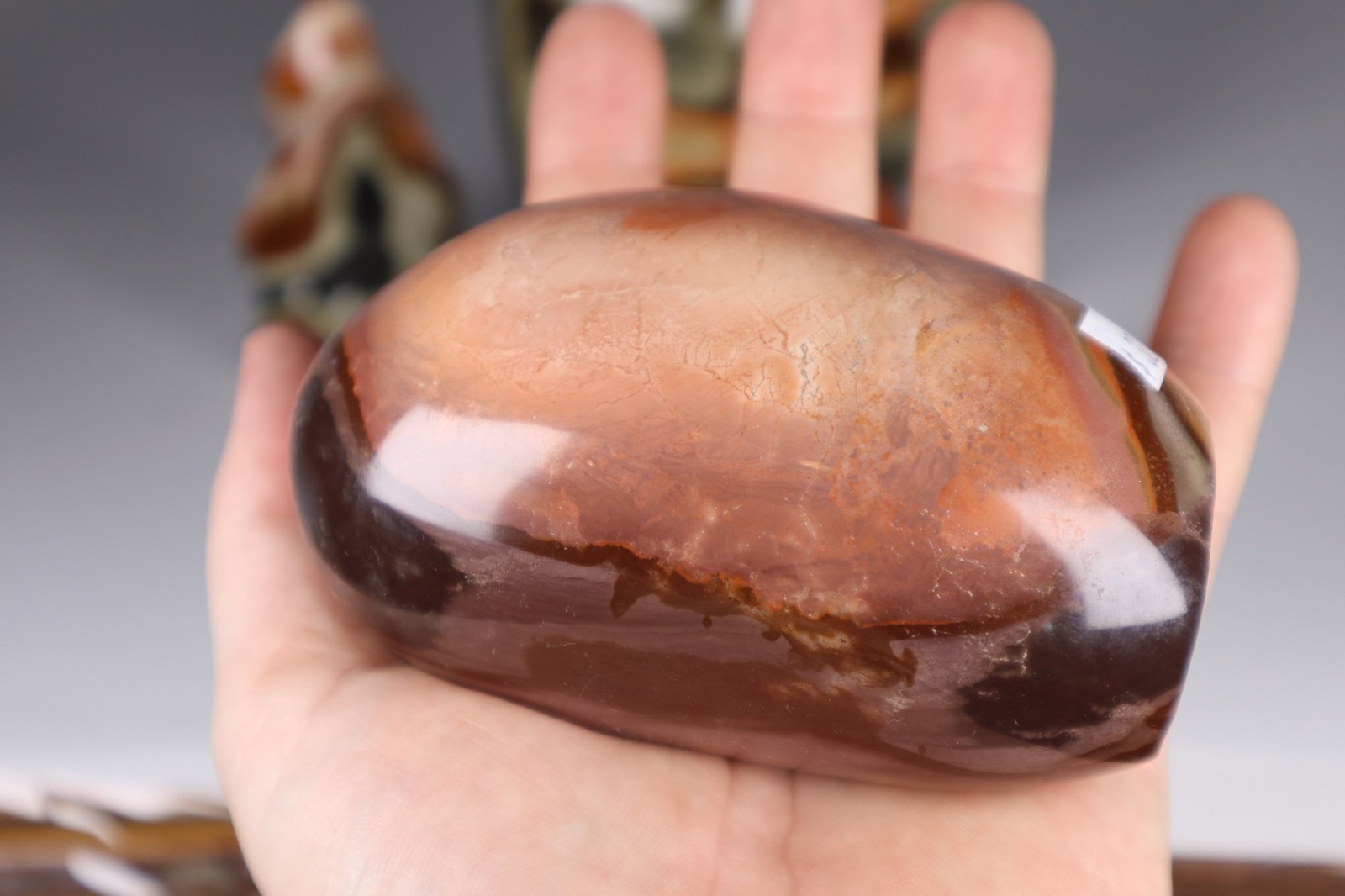3.3kg POLYCHROME JASPER Freeforms Flames Palm Stones Crystal Collection bundle