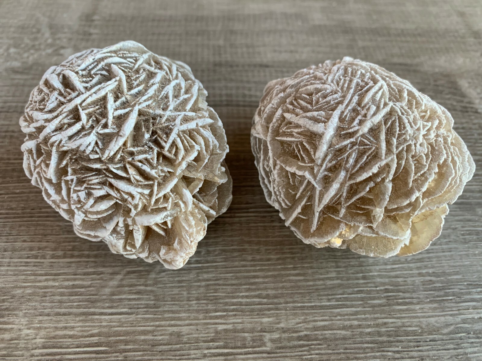 Extra Large Desert Rose Selenite, 1.5-4 Inches Desert Gypsum Rose, Pick a Size