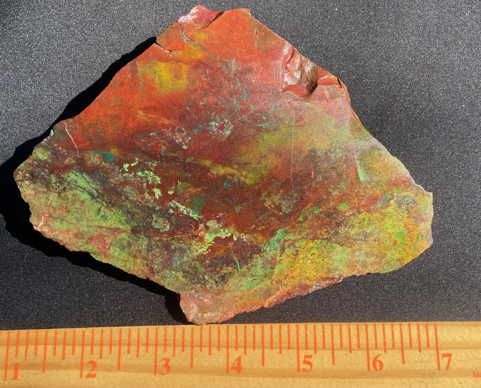 Parrot Wing Chrysocolla Colorful AA Big Slab Untreated No Cracks 212 Gram 7.5 Oz