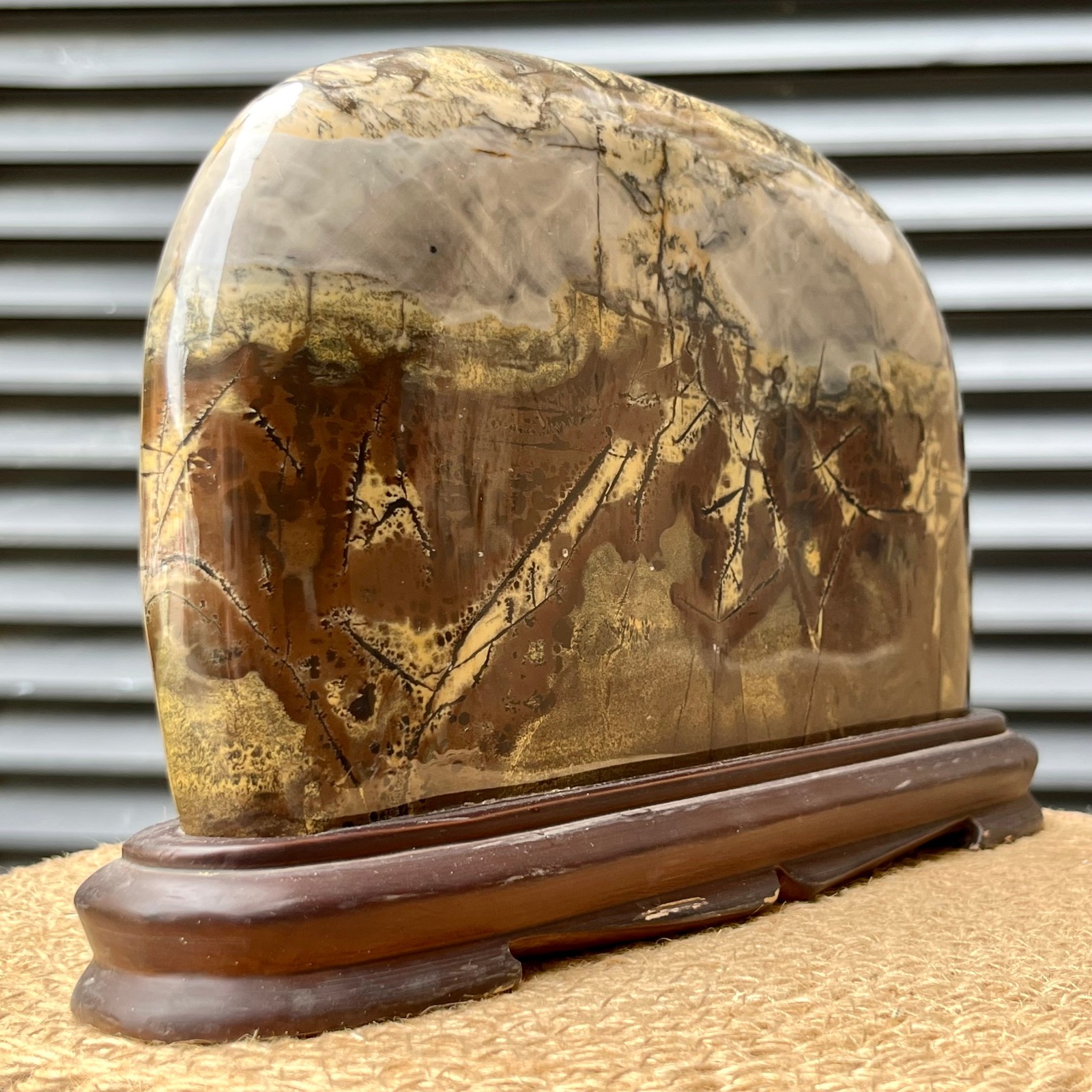 6.2 lb Natural Scenic Stone Display Polished Pattern Art w/ Wood Stand
