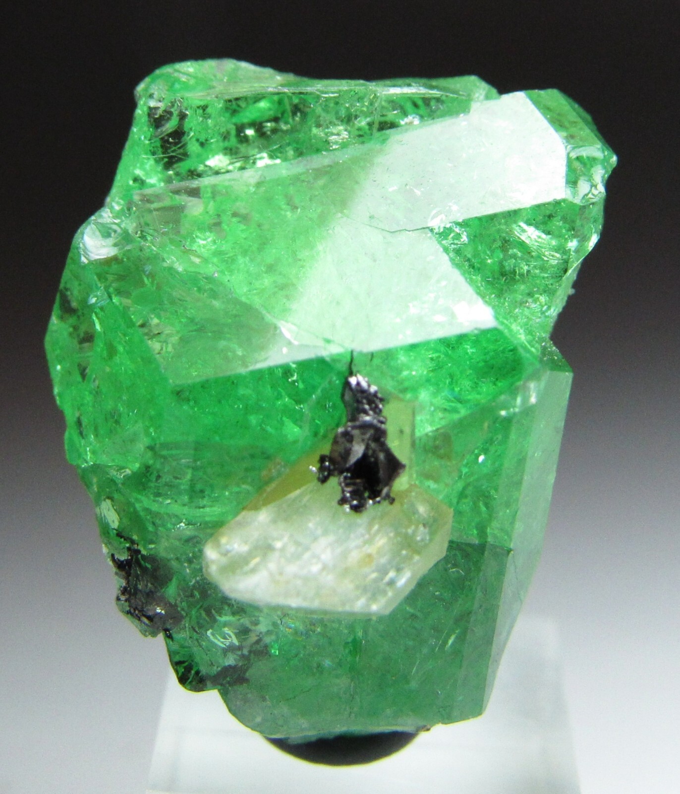 EXQUISITE ELEGANT GLASSY GEM TSAVORITE GROSSULAR GARNET W/ DIOPSIDE!!! TANZANIA