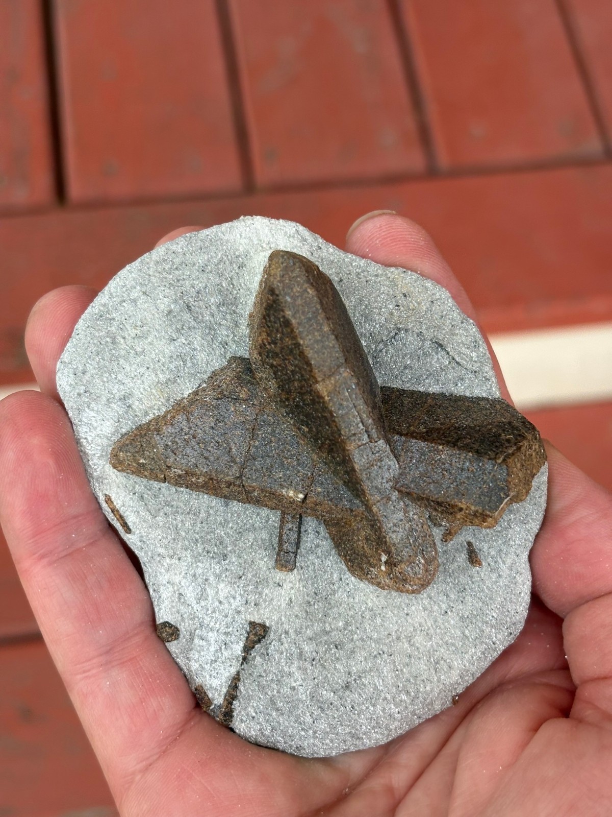 Staurolite, “fairy cross”, Keivy Mountains, Kola Peninsula, Russia