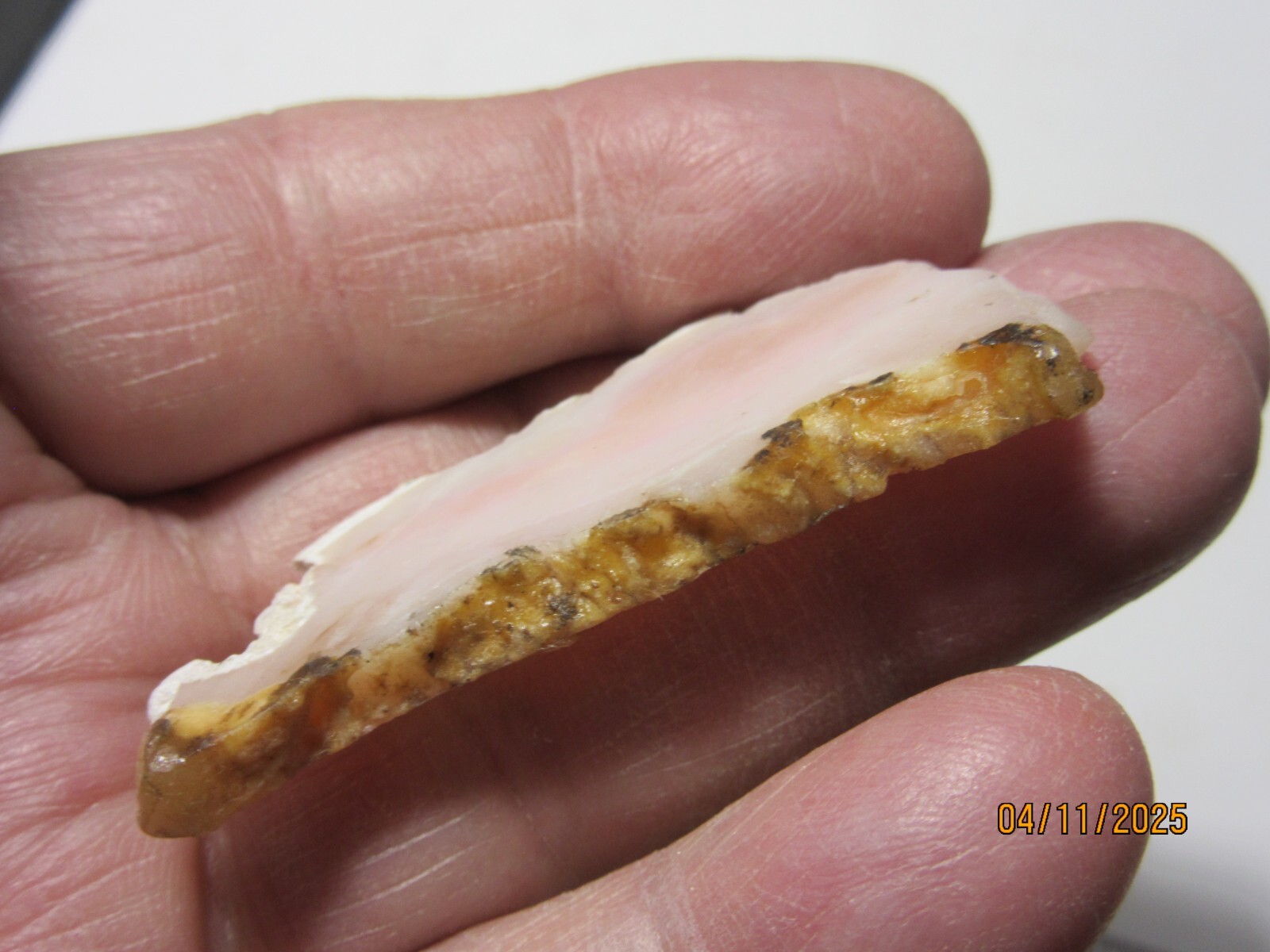 Pink Opal Mineral 2 1/8″ Slice Spencer Idaho Collectible POMSTC-3s