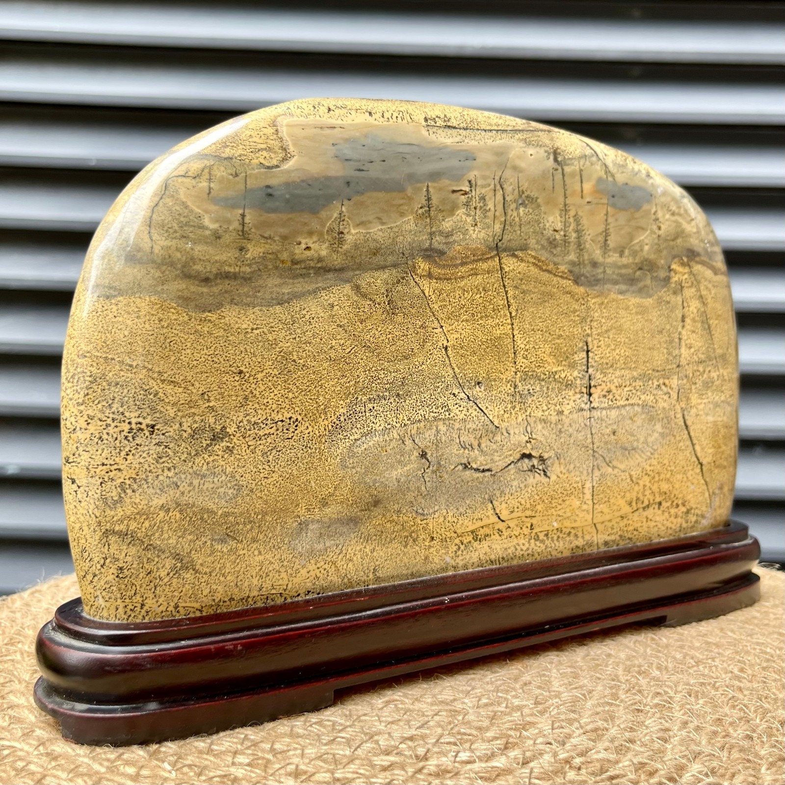 Natural Scenic Stone Display Polished Pattern Art w/ Wood Stand 4.1 lb