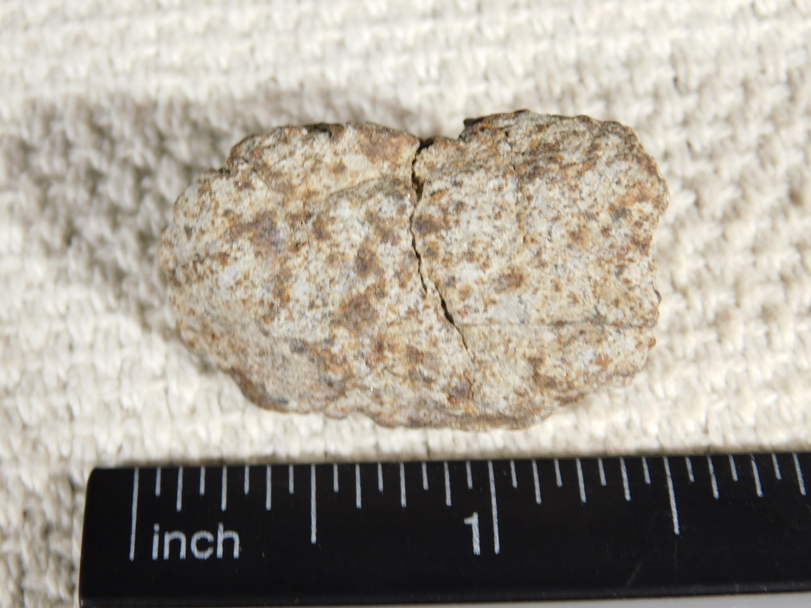 Classified NWA 8245 METEORITE Spots of Dark Fusion Crust! Erfoud, Morocco 21.0gr