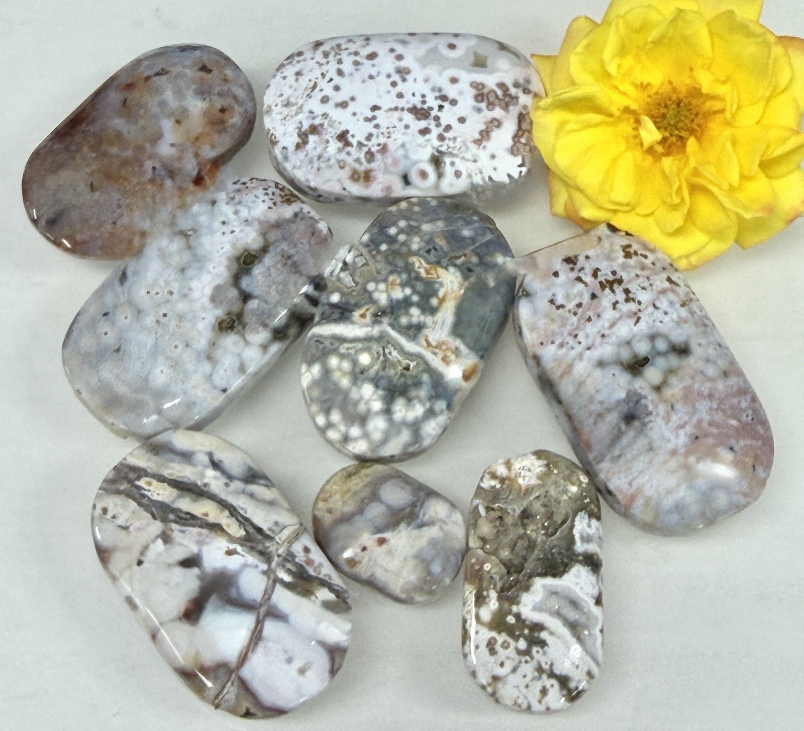 Wholesale Lot 1 Lb Natural Ocean Jasper Palm Stone Crystal Healing Energy.
