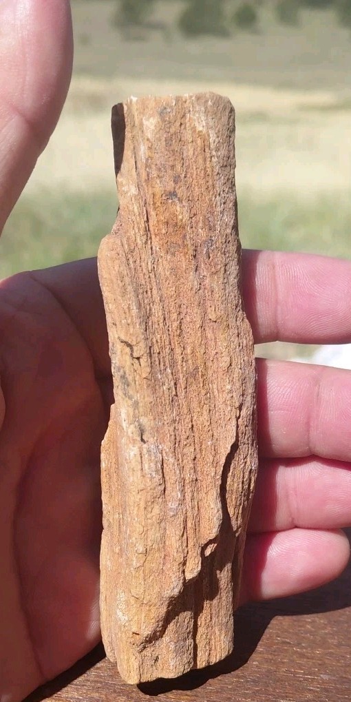 Petrified Wood Fossilized Twisted Branch Bark Druzy Quartz 1/4Lb – 4 1/2″×1 1/4″