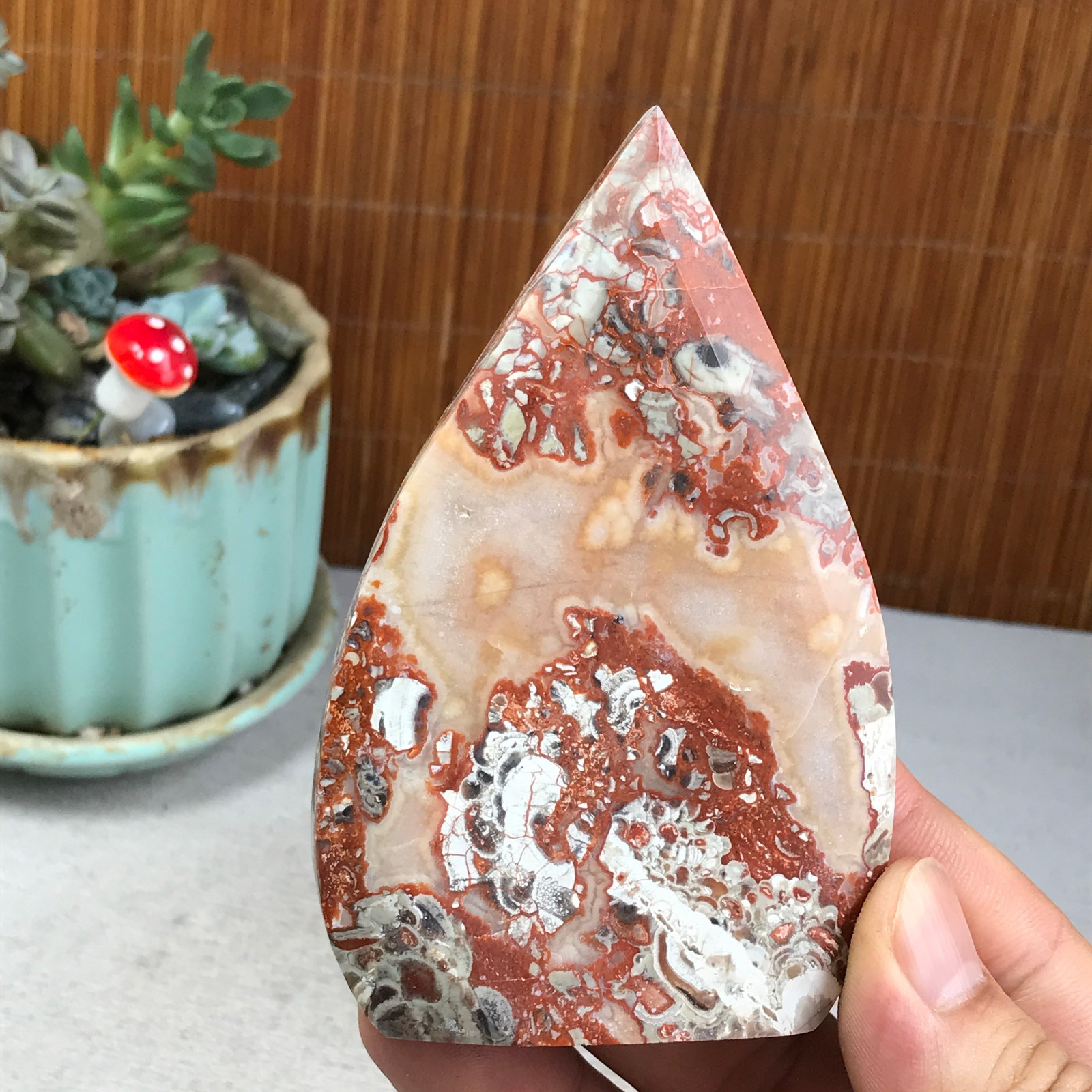 Natural money Mexico agate hand carve leaf Crystal Specimen free standing A6275