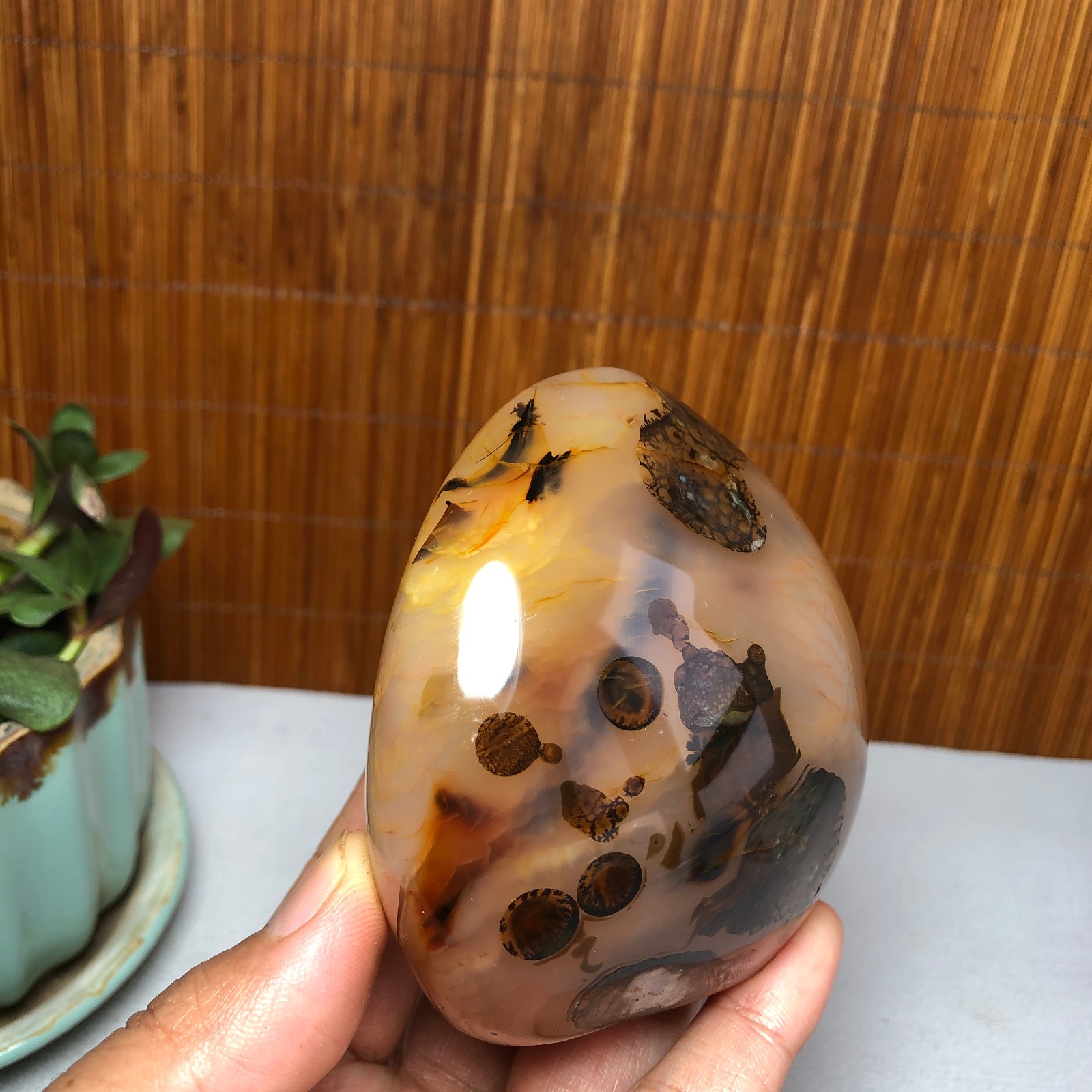 Natural aquatic plants agate pretty Crystal specimens free standing 331g A9998