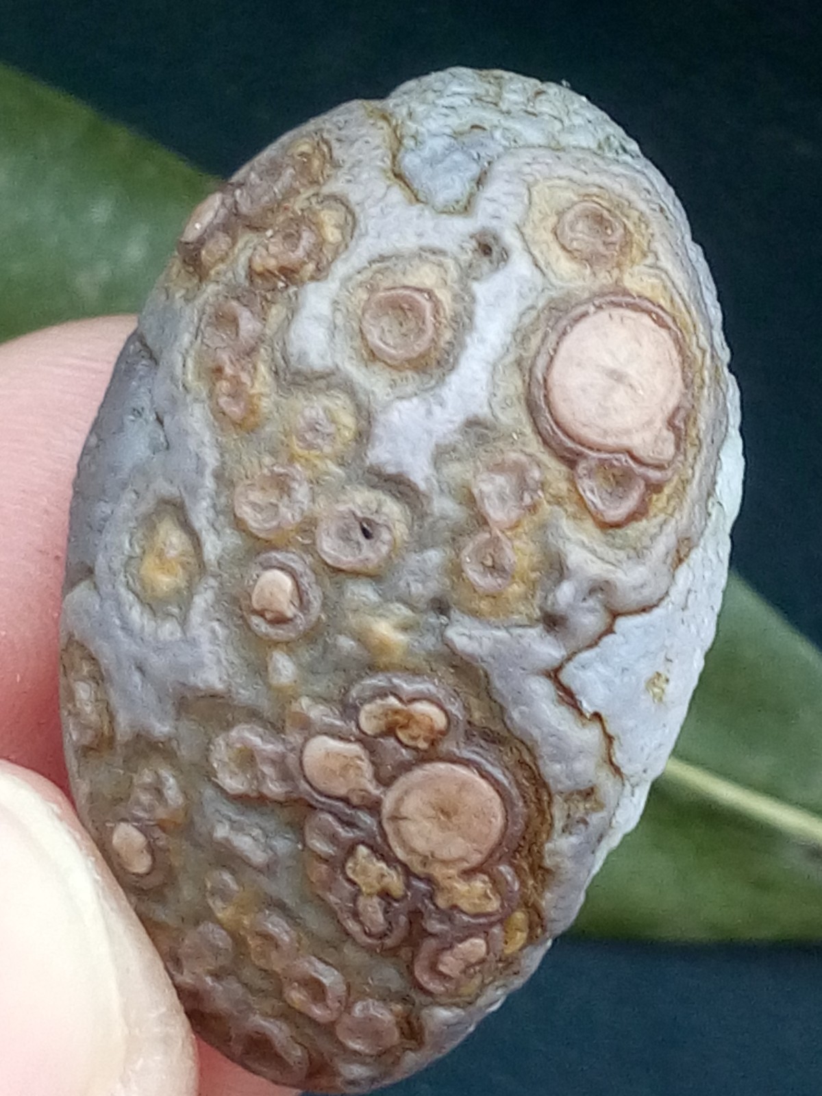 12g/36mm Natural GoBi Agate eye agate/stone cute collection